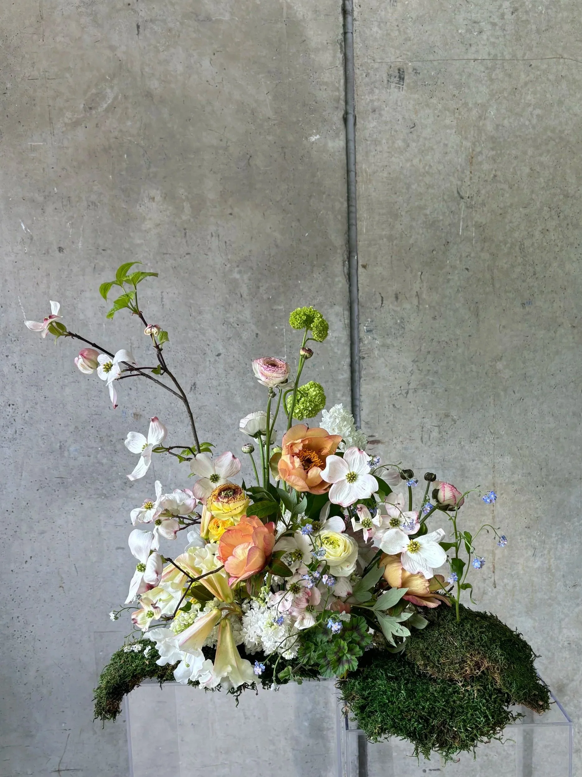 A floral arrangement featuring various flowers such as white lilies, peach roses, and small blue flowers, with green foliage and moss at the base, set against a concrete wall background.