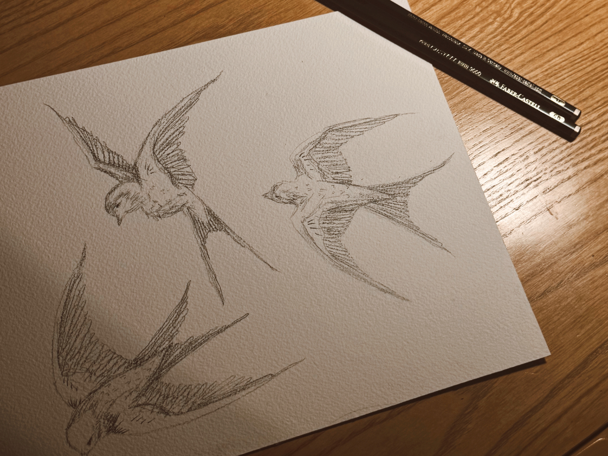 Sketch of three flying birds on textured paper, with two pencils placed beside the paper on a wooden surface.