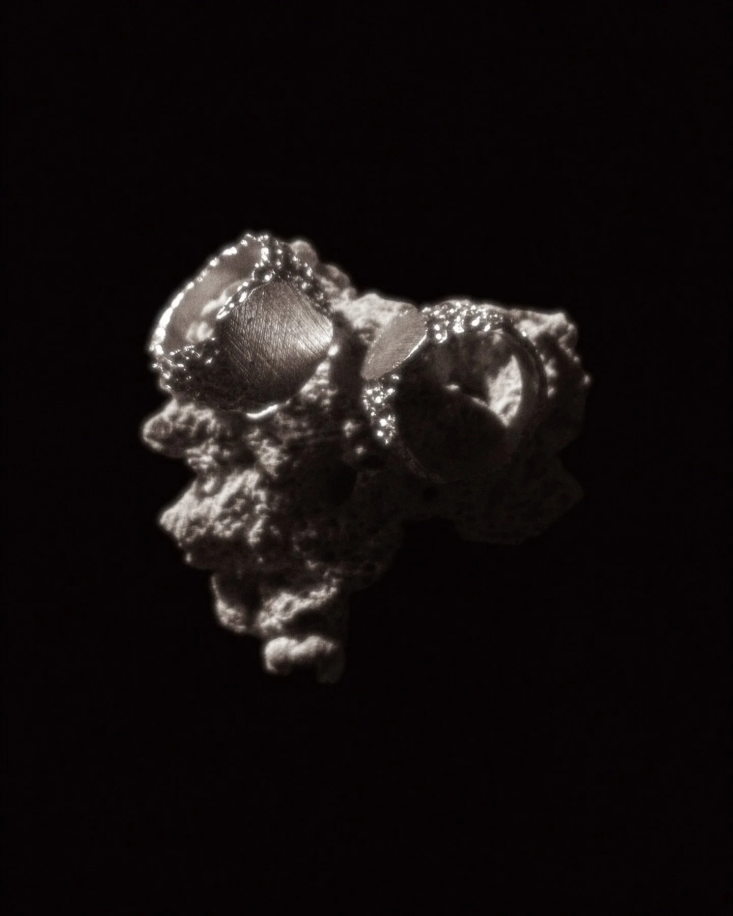 &ldquo;Coral&rdquo; by Pattiann Rogers
The coral grows by slow accretion
of the body of its death.
It builds by what it has been
and what it loses.

It is a limestone architecture
of hunger and of light.
It is a monument to the smallest mouths
openin