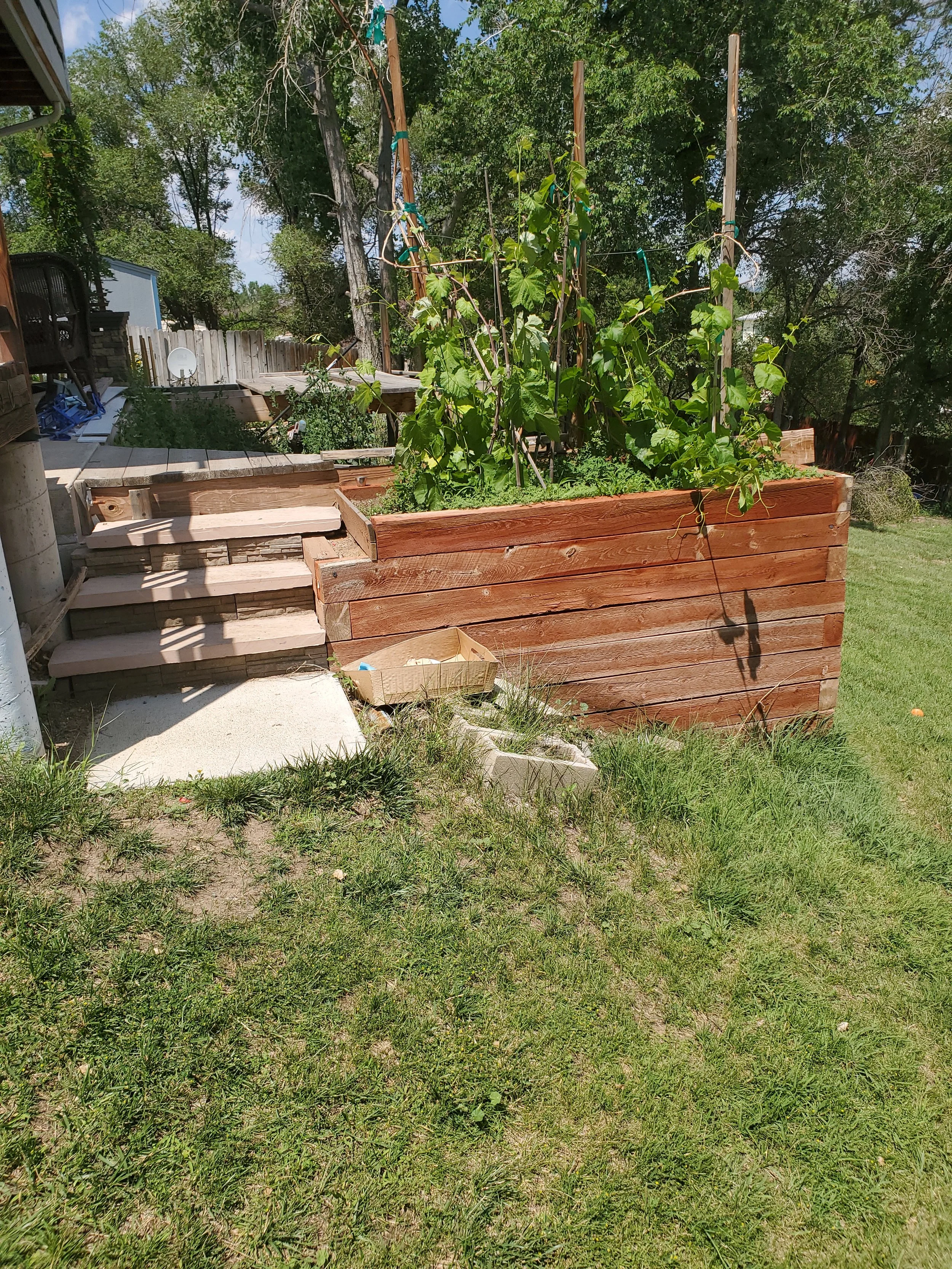 A raised wooden garden bed with climbing plants supported by wooden stakes, next to custom built stone steps in a backyard.