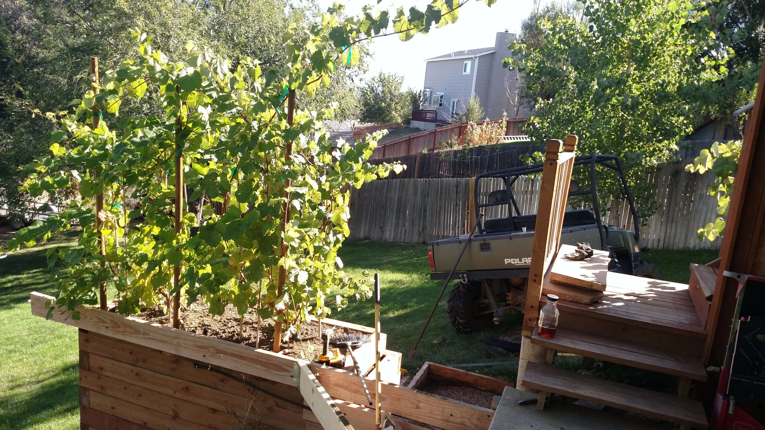 Custom Garden Box with grapevines growing on a trellis