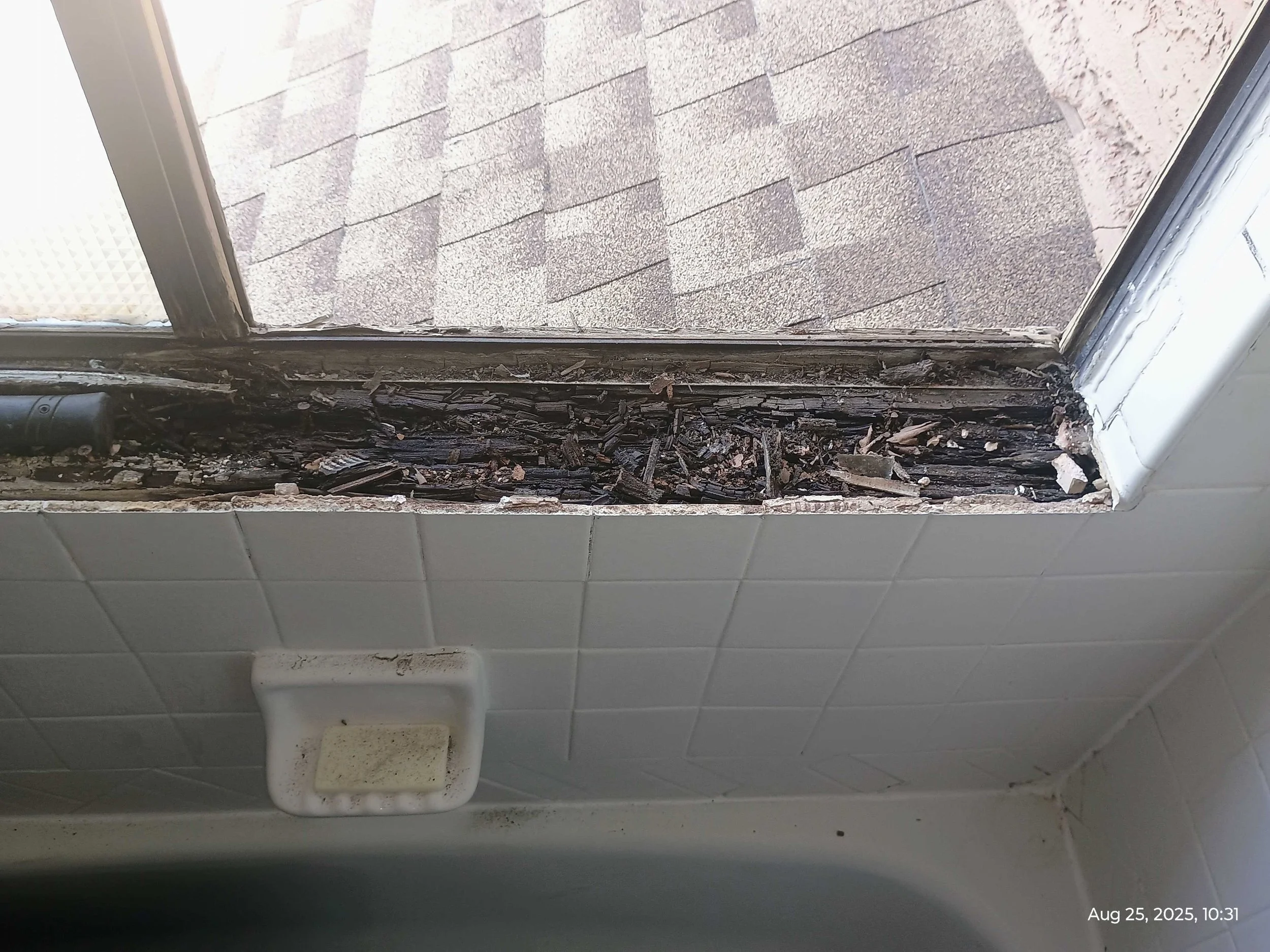 Close-up of a damaged or removed section of roof shingles revealing dark debris and rotted wood underneath, with a white wall and window frame adjacent.