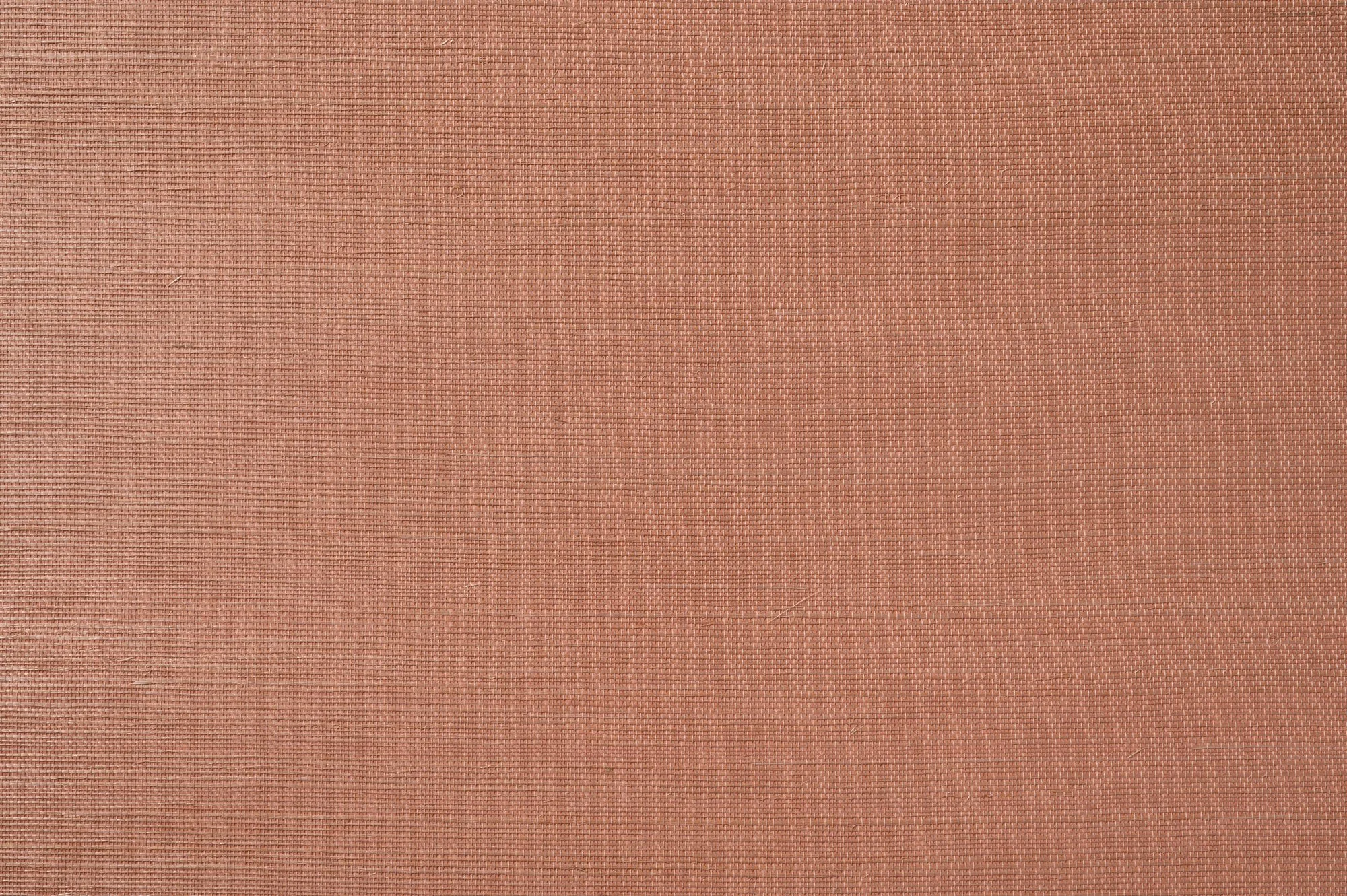 Terracotta Bloom