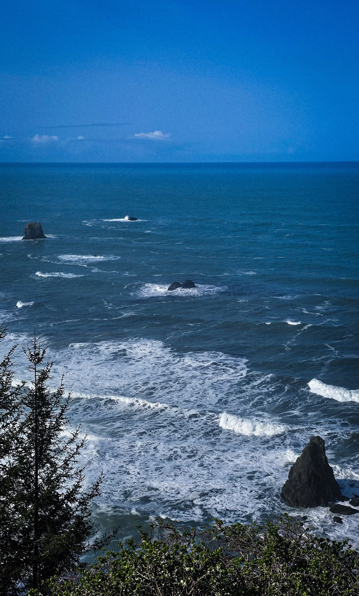 Ocean view with waves crashing against rocks, seen from a shoreline with some bushes and trees in the foreground, clear blue sky with a few clouds in the background.