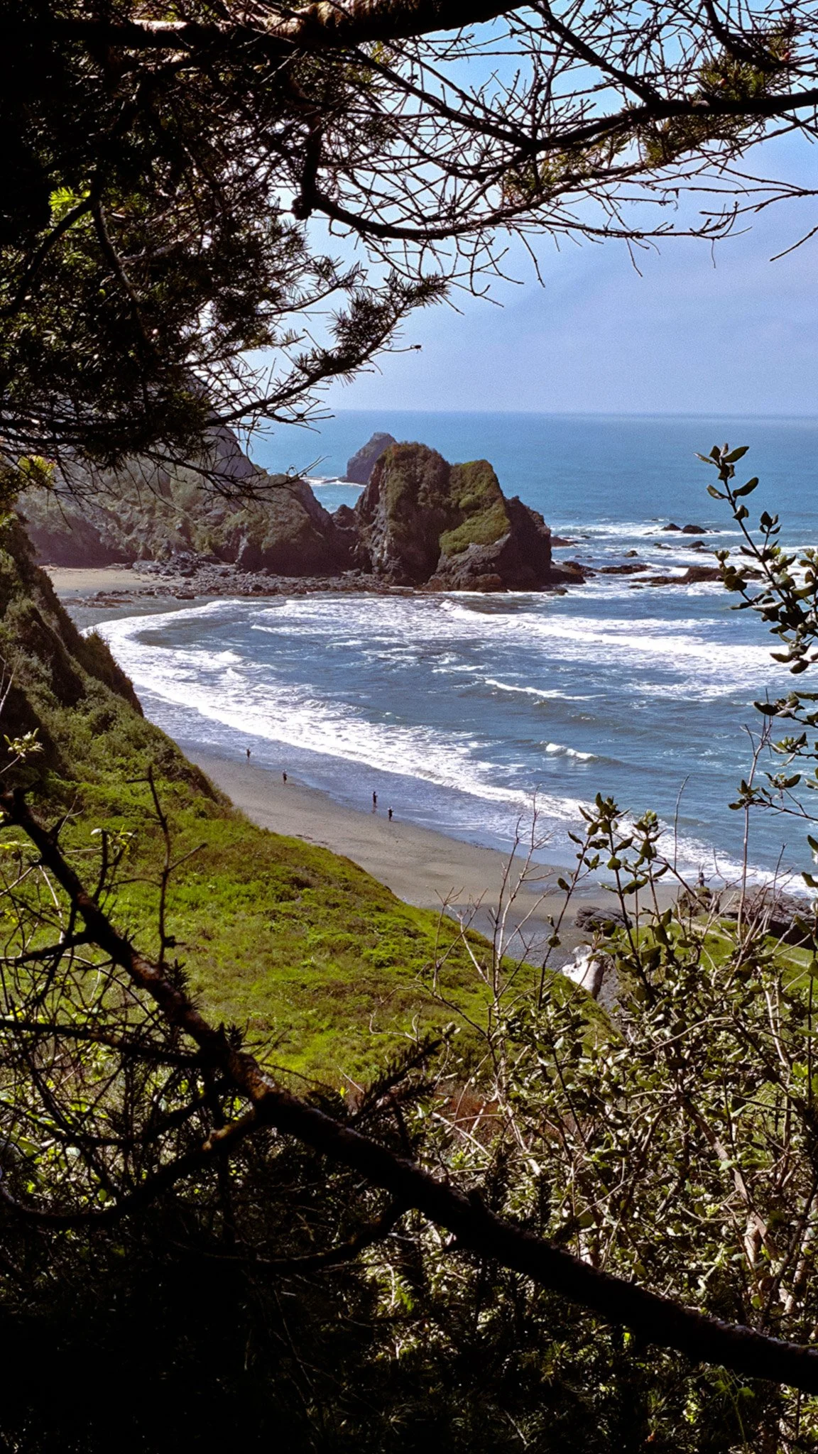 View of a scenic beach with rocky cliffs and ocean waves, framed by tree branches and foliage in the foreground.