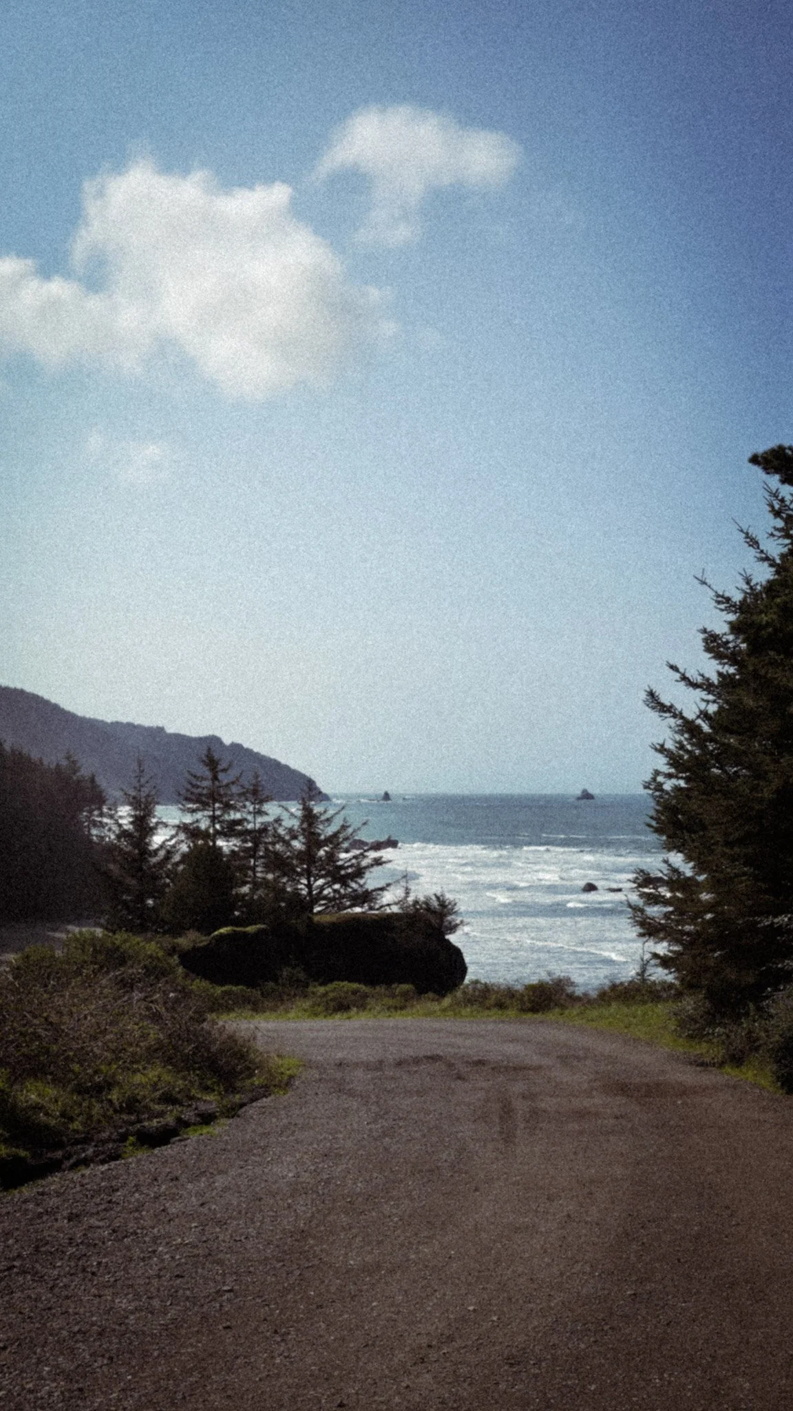 A coastal scene with a gravel path leading to the ocean, surrounded by trees on either side, with waves crashing on rocks in the distance and a partly cloudy sky overhead.