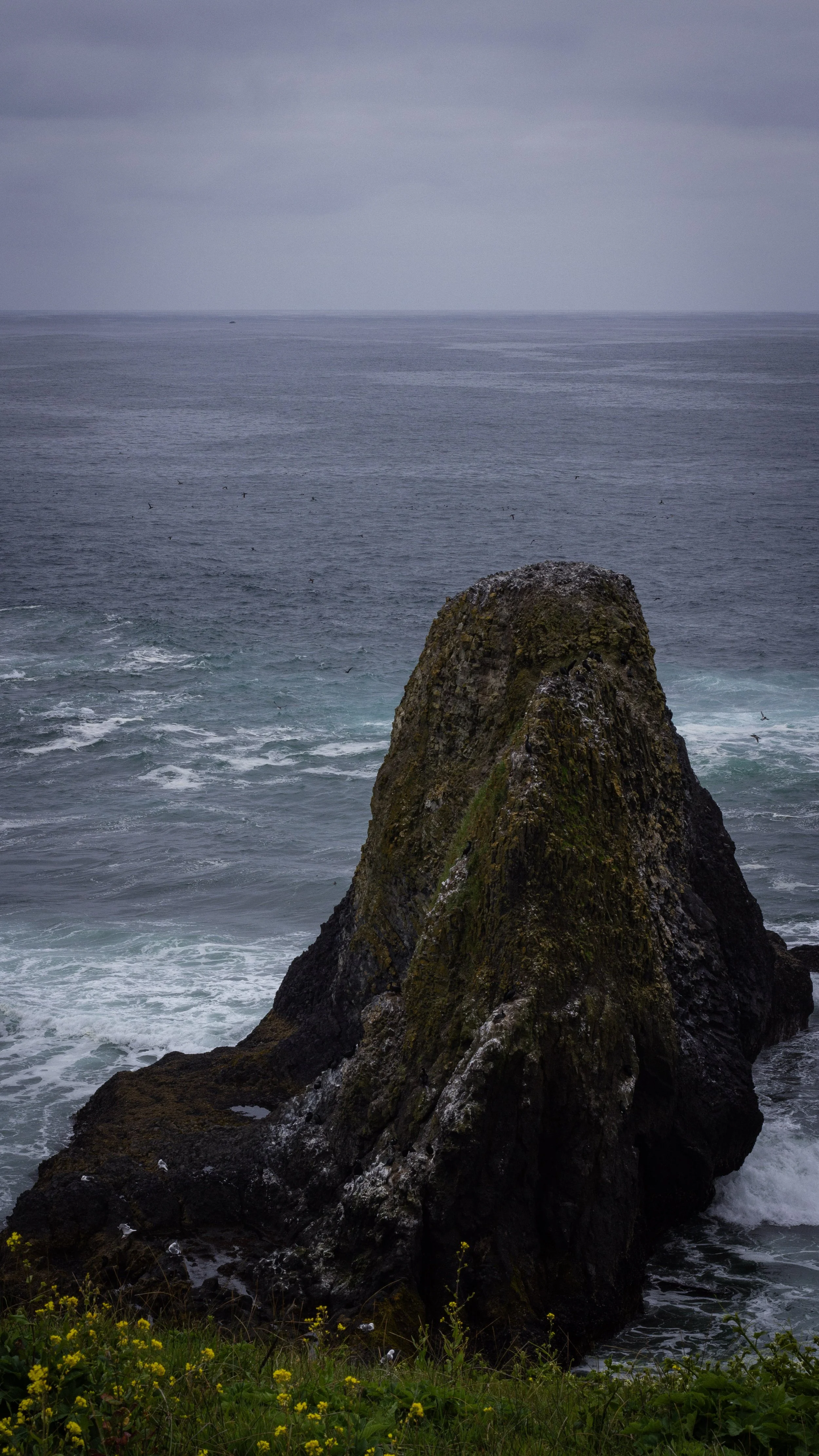 A large rock formation in the ocean with waves crashing against it, under an overcast sky with dark clouds.
