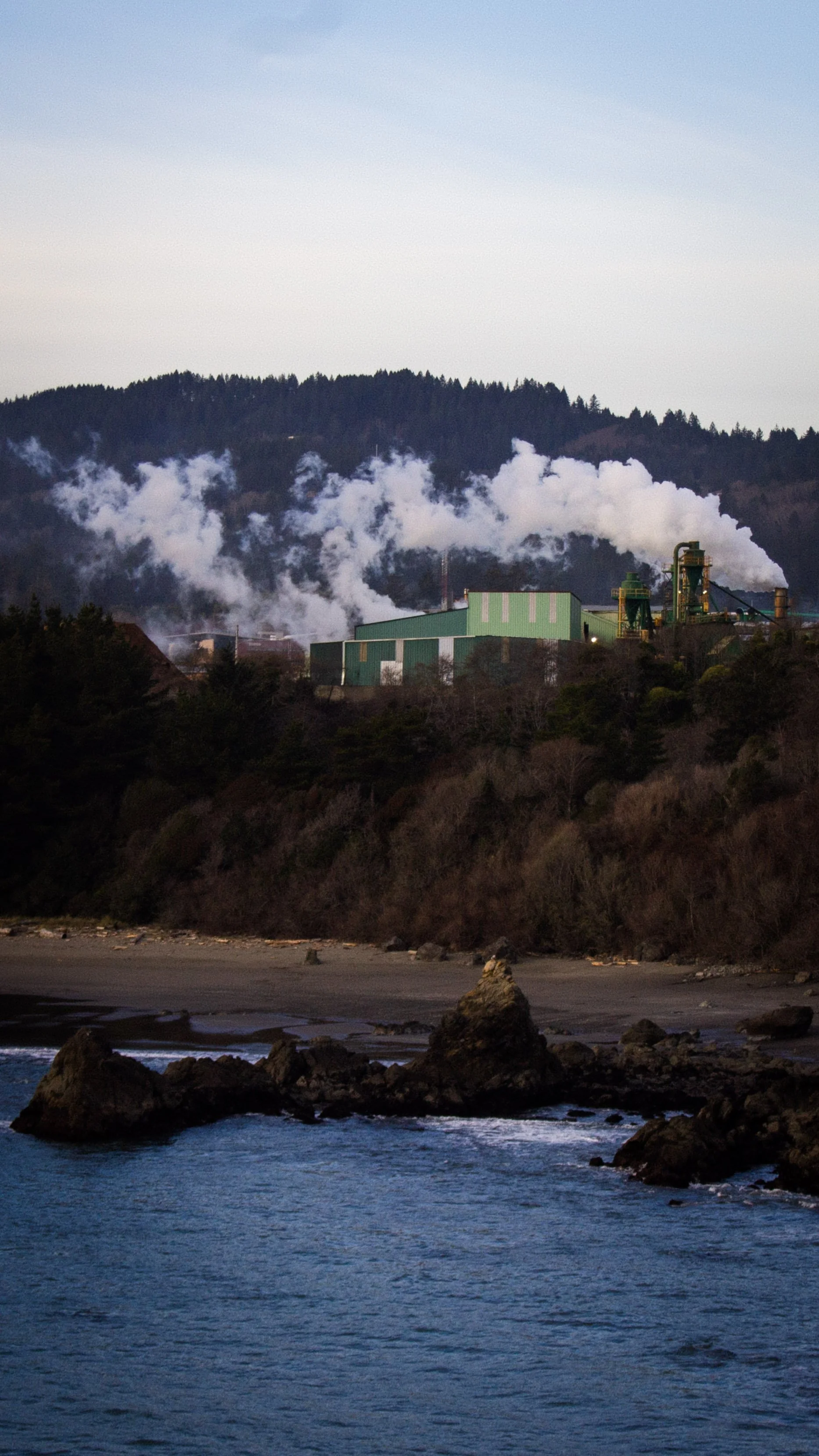 Industrial factory near the coast with smoke emitting from chimneys, with a forested mountain in the background, and rocky shoreline in the foreground.