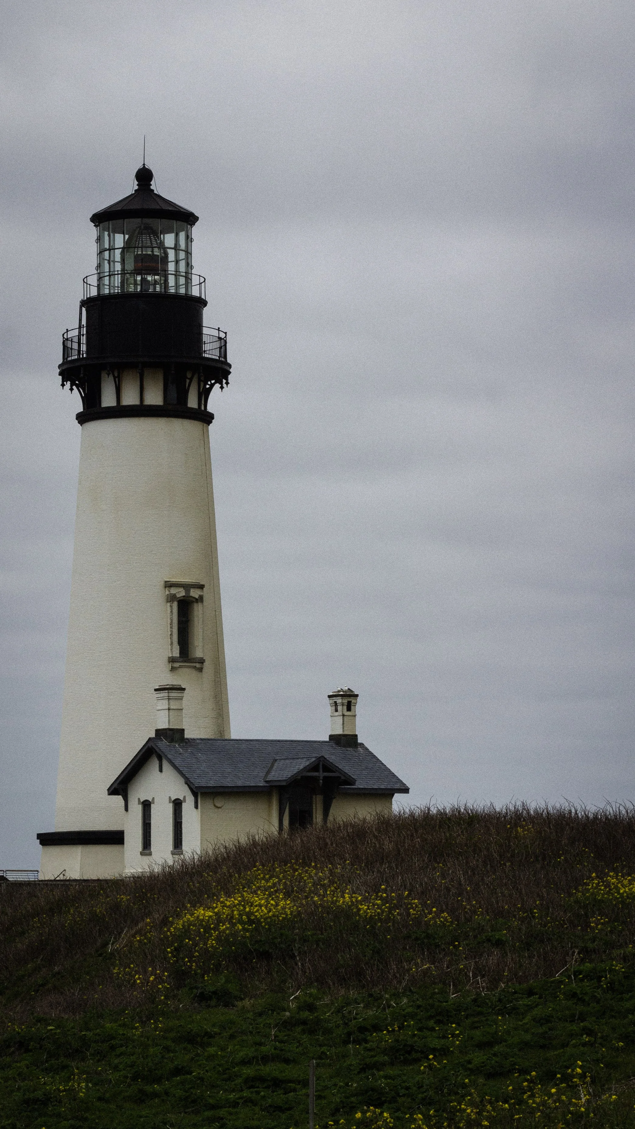 A white lighthouse with black accents and a black roof on a grassy hill with yellow flowers, under a cloudy gray sky.