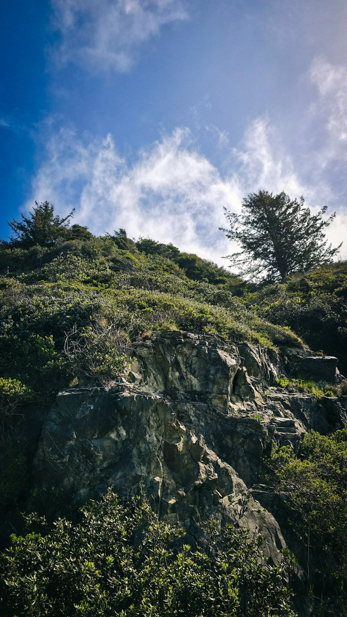 A rocky hillside covered with greenery and bushes, with a clear blue sky and some clouds above.