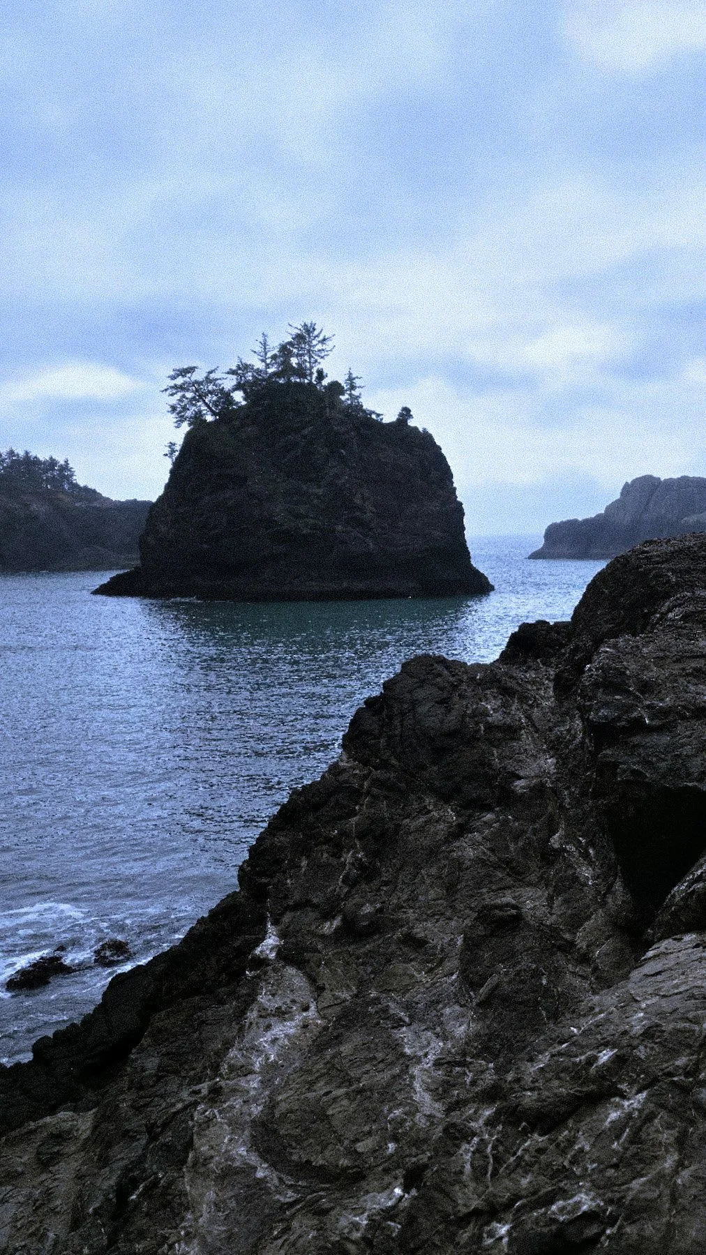 A large rocky island with trees on top, surrounded by water, with cloudy skies overhead and distant landforms.