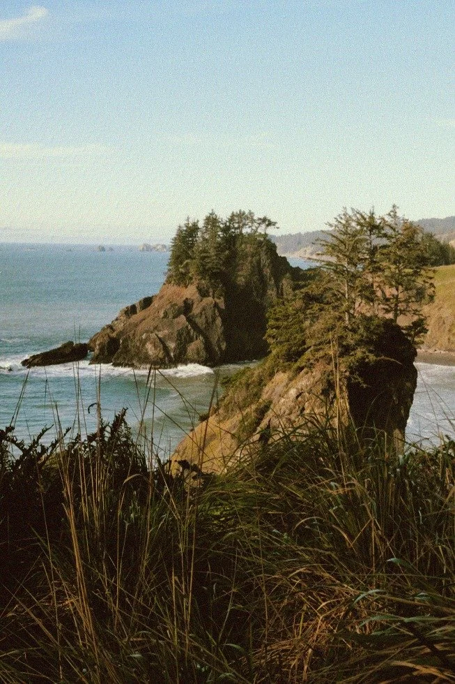 Cliffside with trees and grasses overlooking the ocean, with a rocky island formation in the distance.