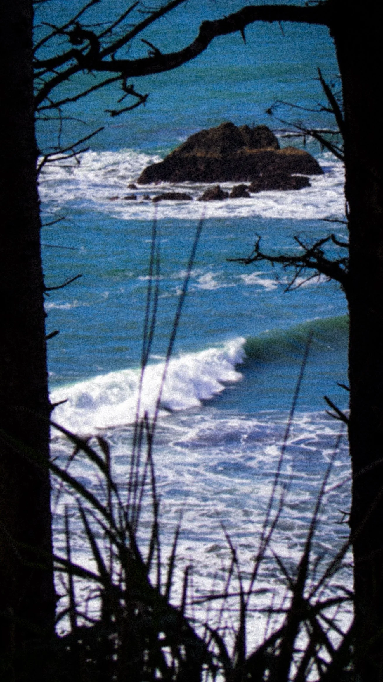 View of rocky island with ocean waves crashing around it, framed by dark tree branches and twigs in the foreground.