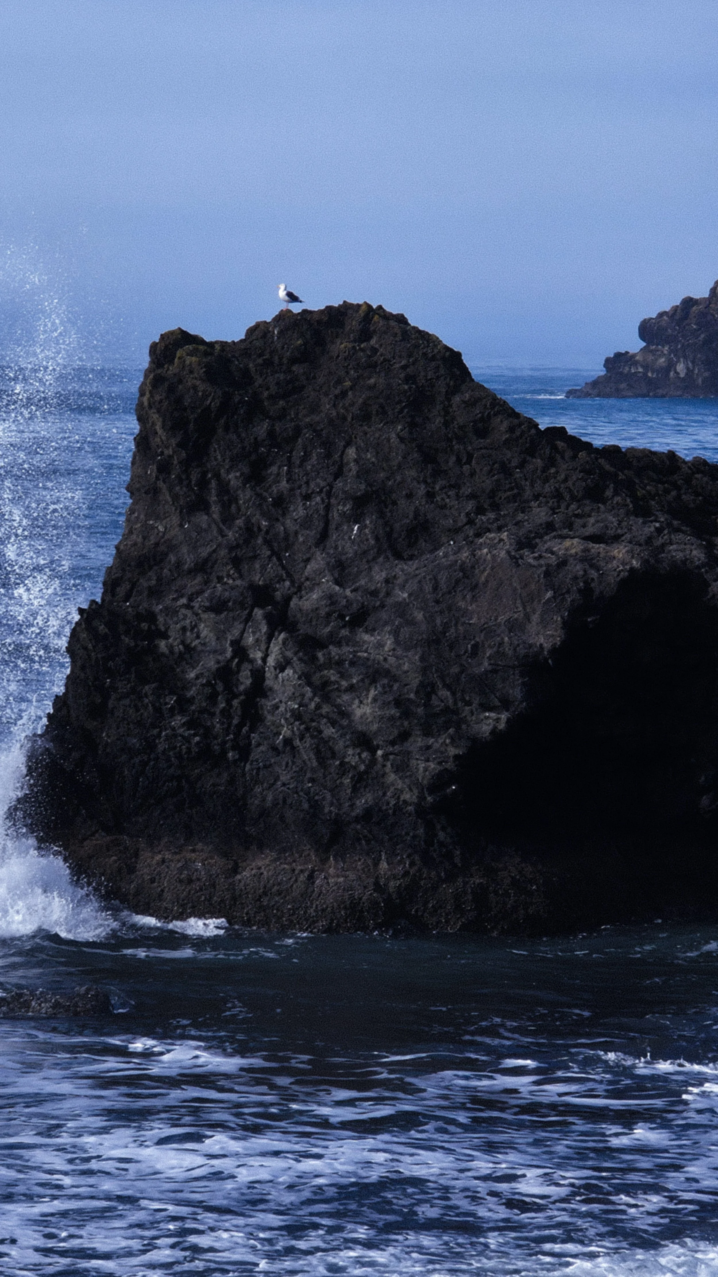 A seagull perched on a large dark rock in the ocean, with waves crashing against the rock and a cloudy sky in the background.