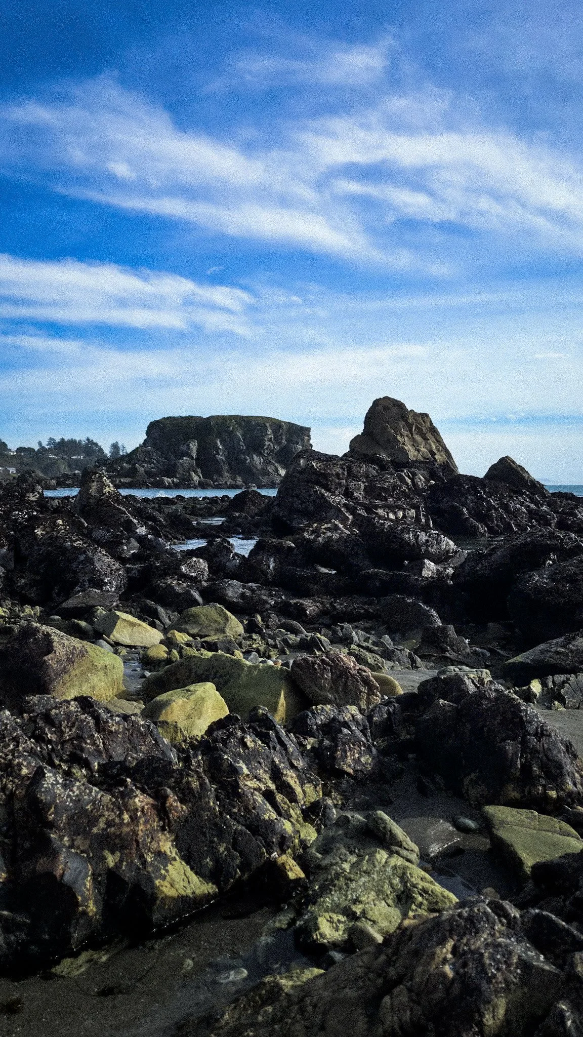 Rocky shoreline with large dark rocks and green moss, with a distant landmass and cloudy sky in the background.