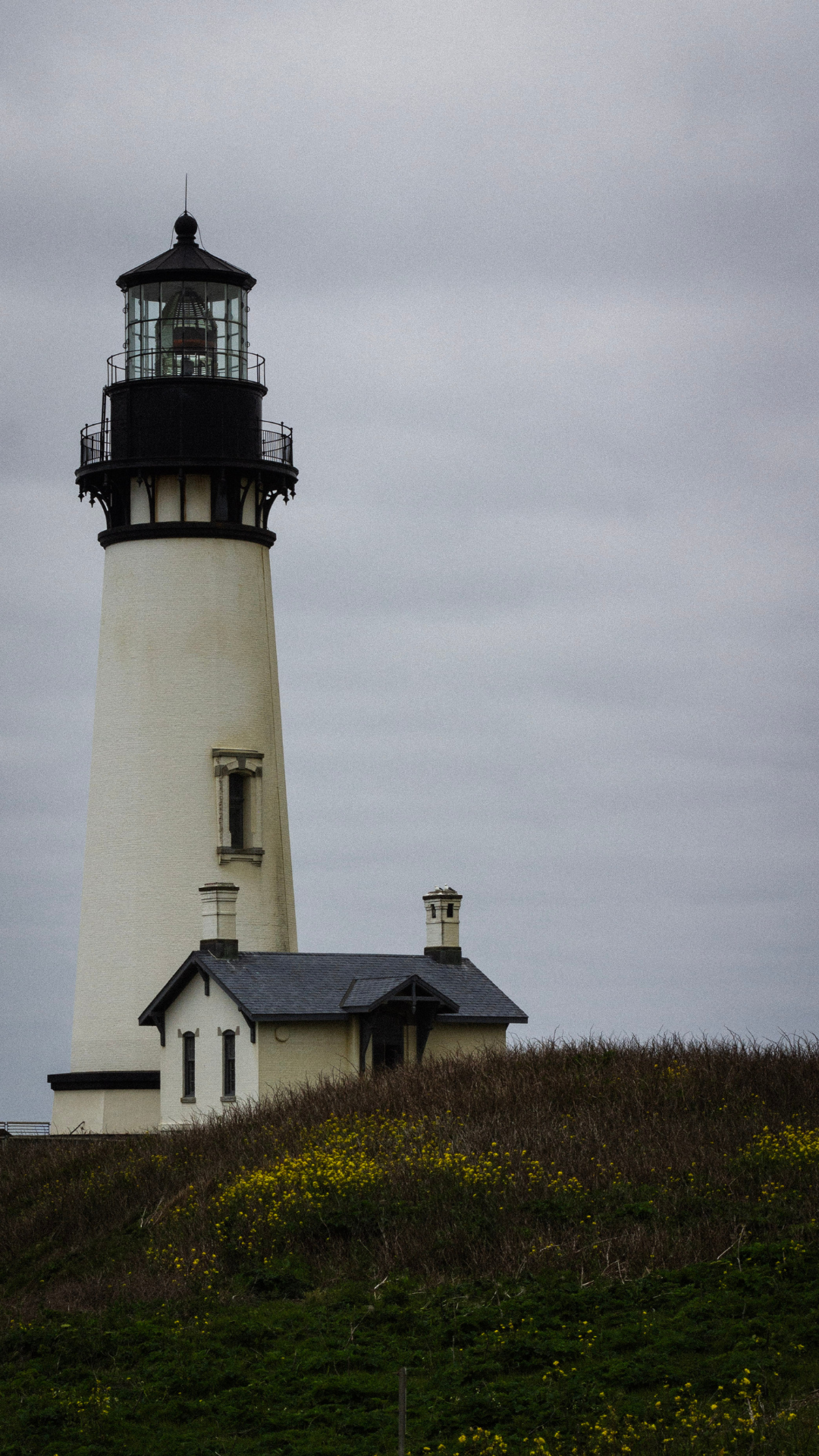 Yaquina Head Lighthouse Phone Wallpaper.png
