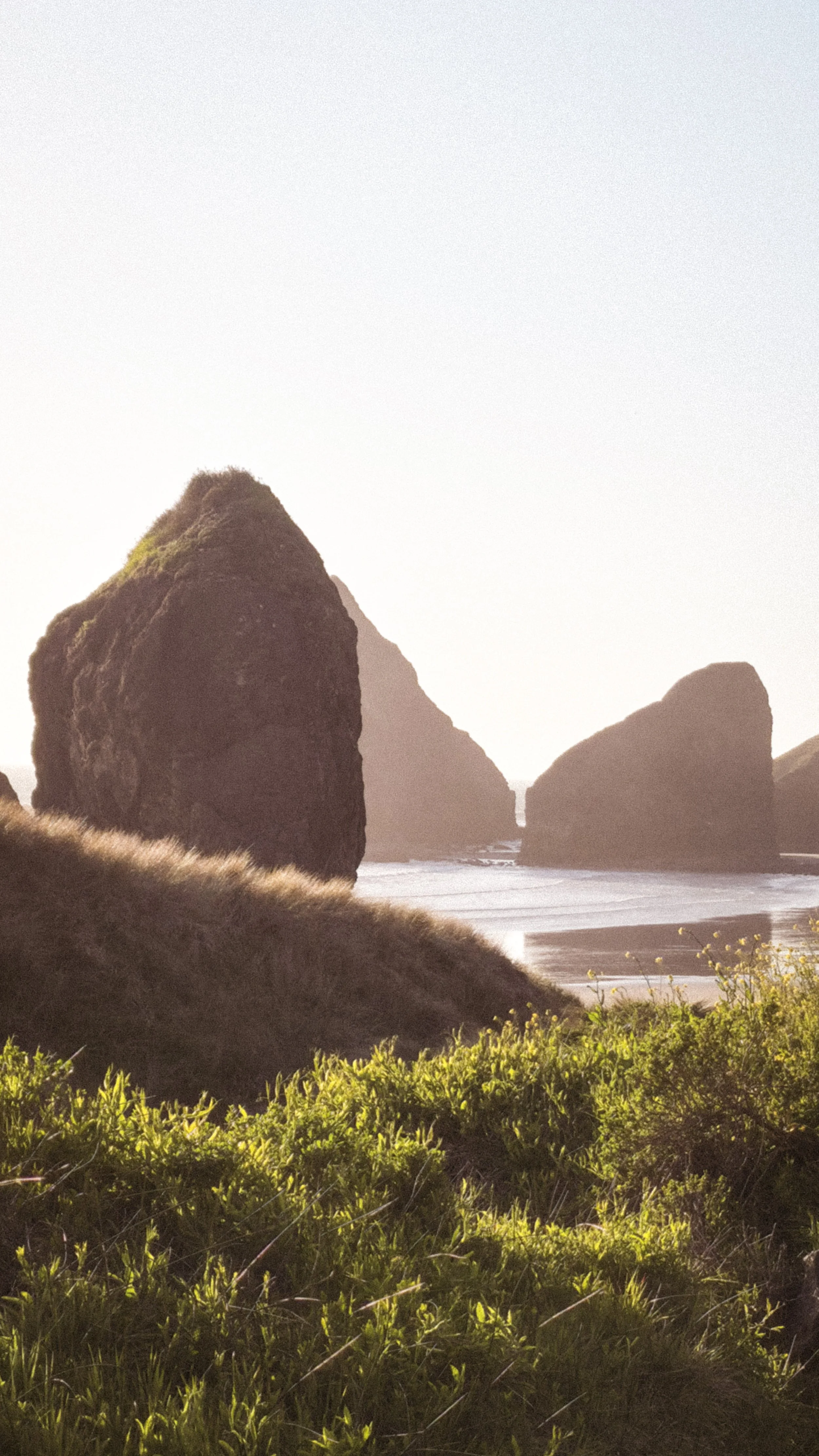 Sunlit coastal scene with large rock formations, sandy beach, and green vegetation in the foreground, possibly at a scenic overlook.