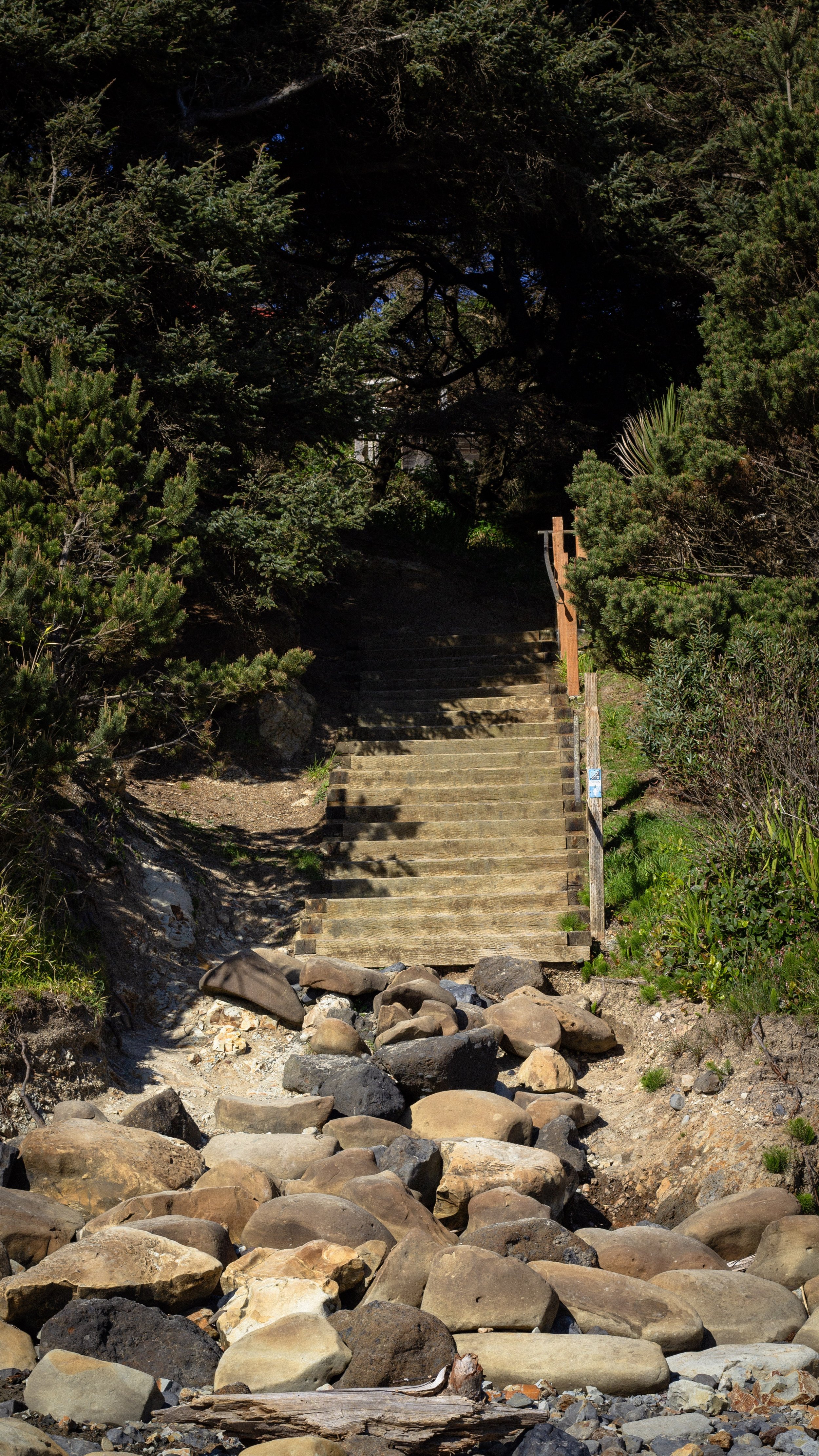 A set of wooden stairs leading up through a lush, green forested area with large rocks and boulders at the base of the stairs.