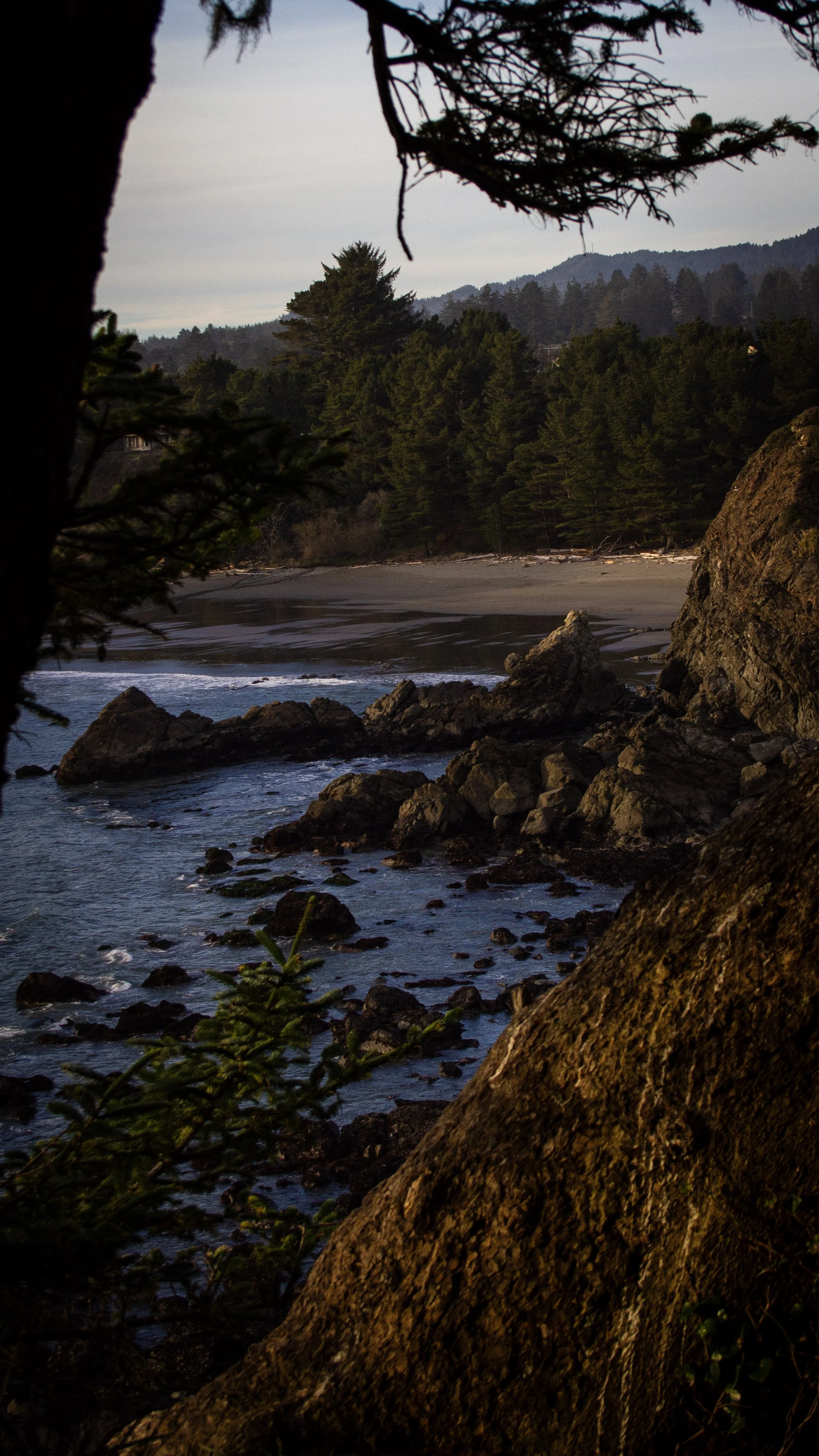 Rocky coastline with trees, ocean water, and distant woods under an overcast sky.
