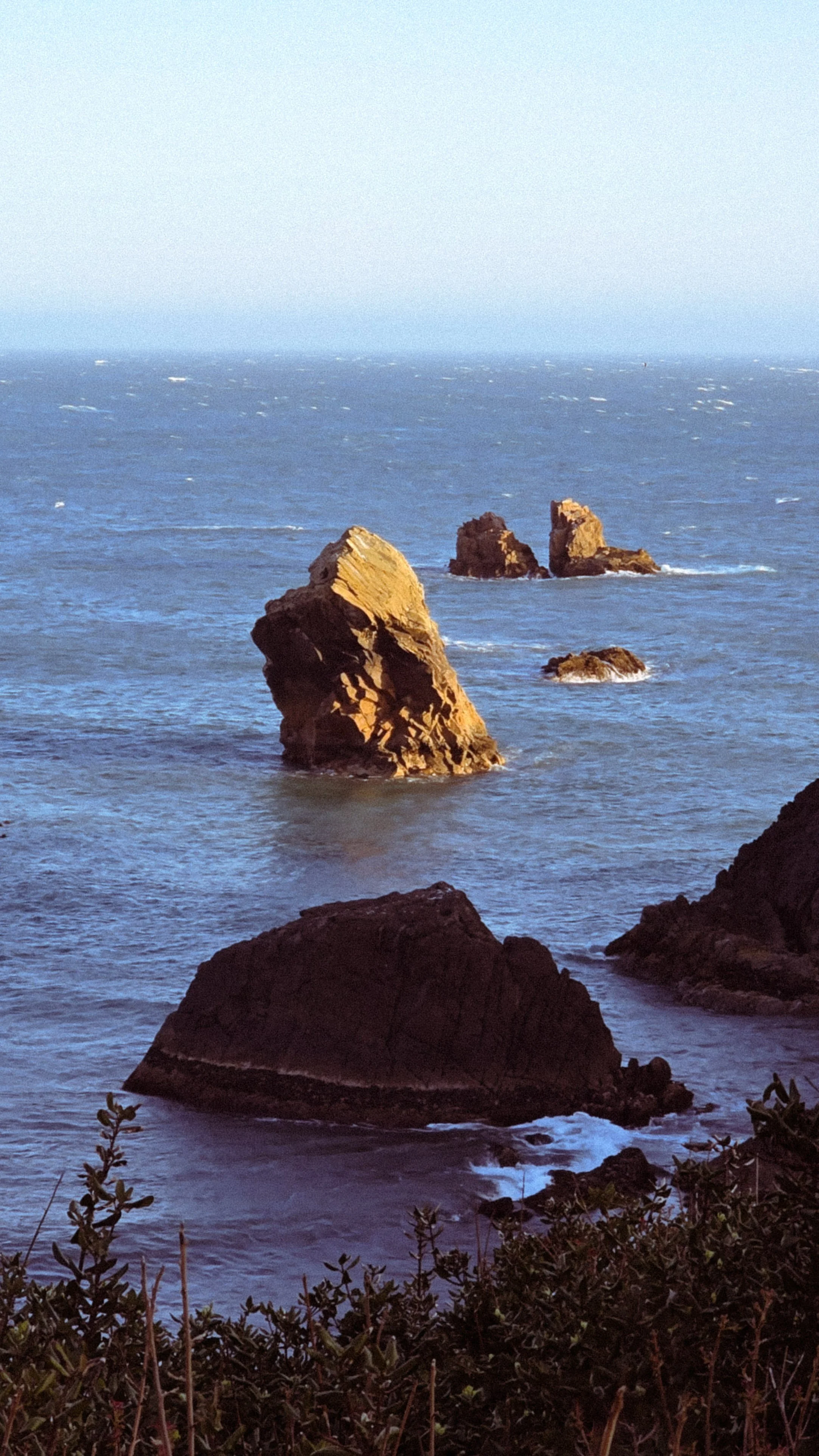 Rock formations in the ocean with waves crashing against them, seen from a shoreline with dark rocks and sparse vegetation in the foreground.