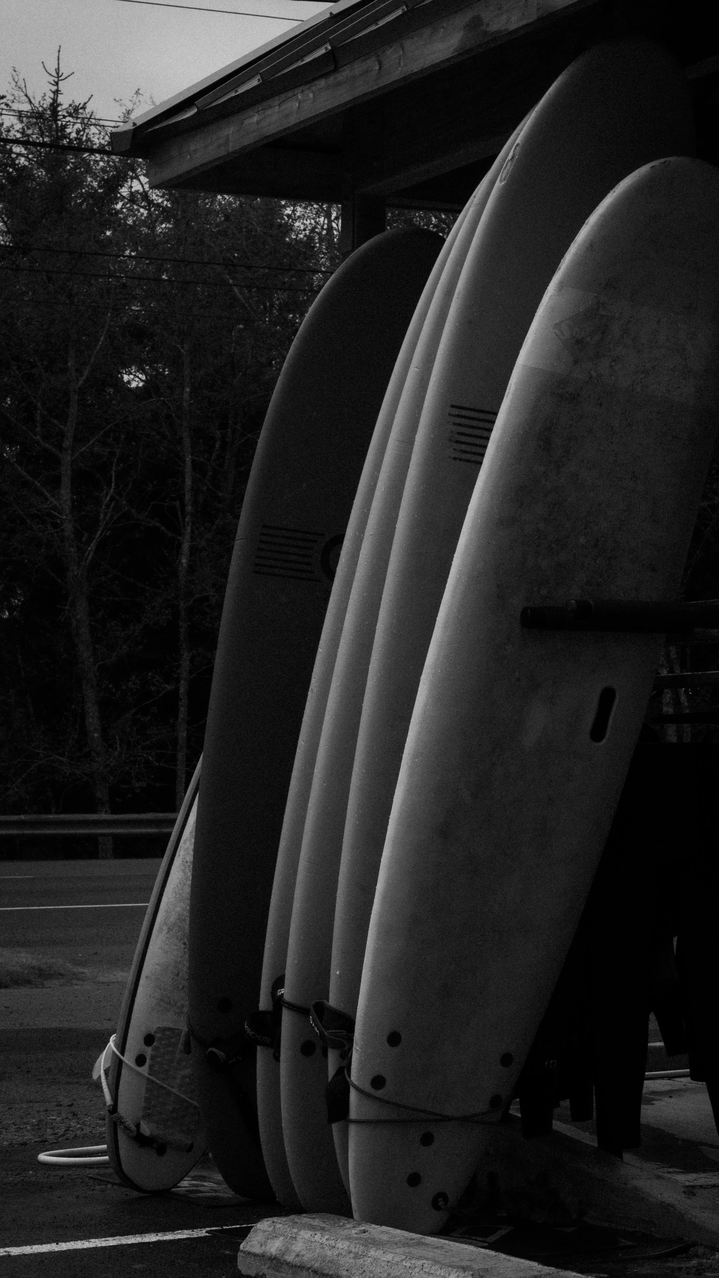 Row of surfboards leaning against a structure with trees and power lines in the background.