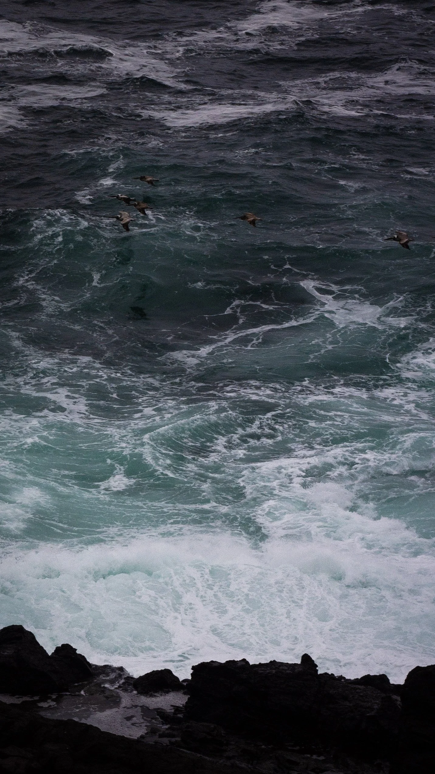 Rough ocean waves crashing against rocks with six ducks swimming nearby.