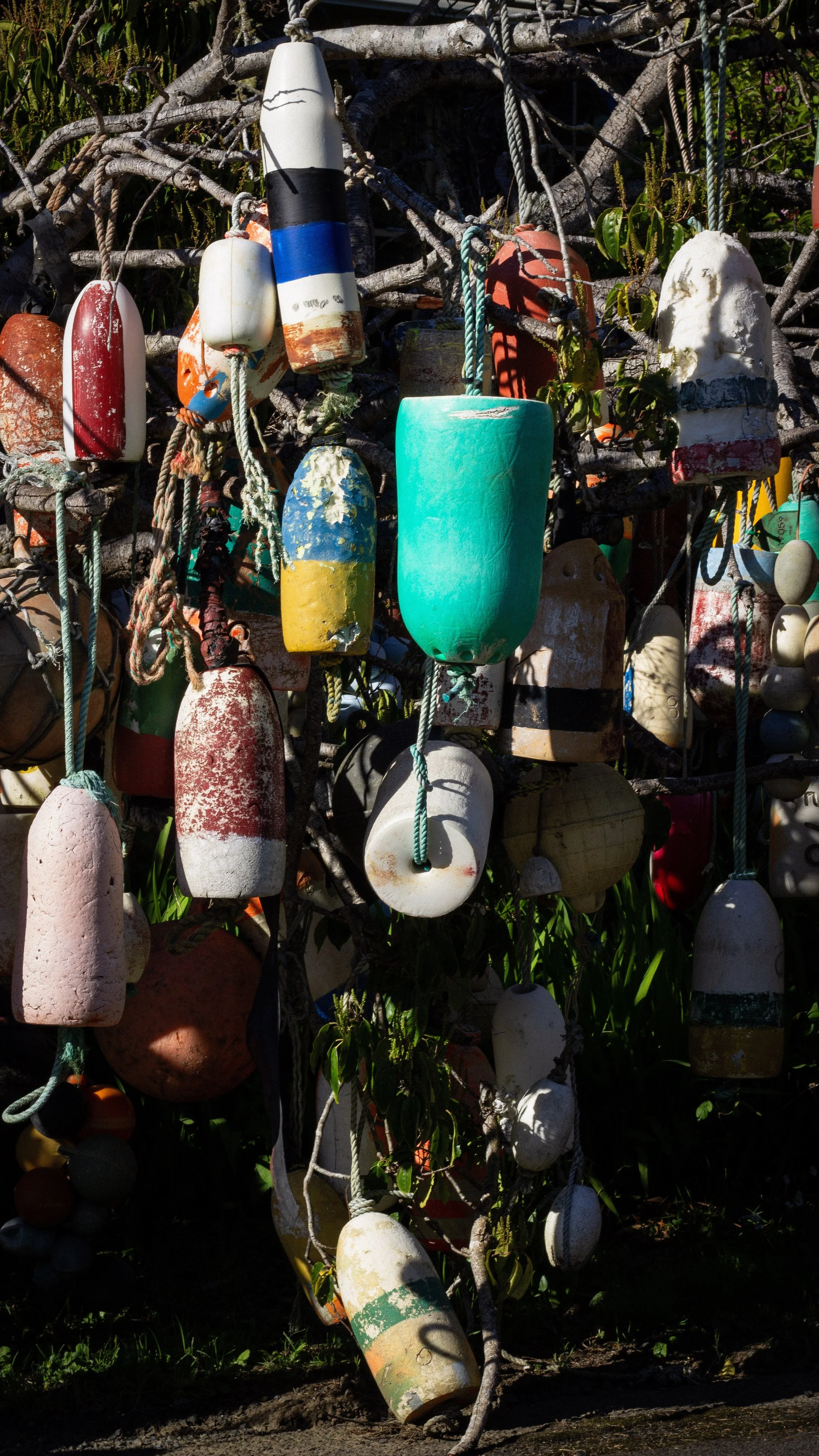 Colorful assorted buoys hanging on a tree branch.