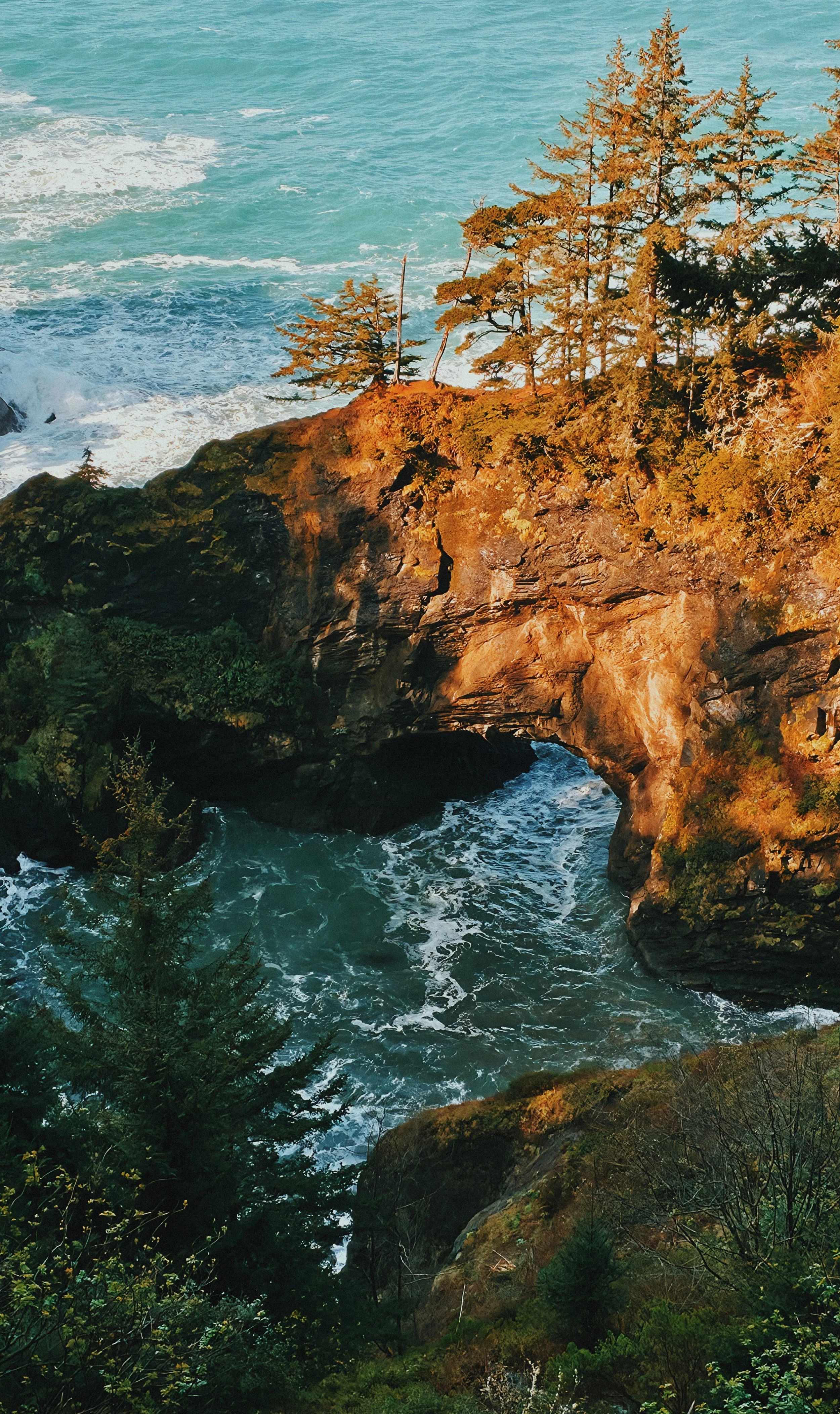 Coastal scene with rocky cliffs, evergreen trees, and ocean waves crashing below, bathed in warm sunlight.