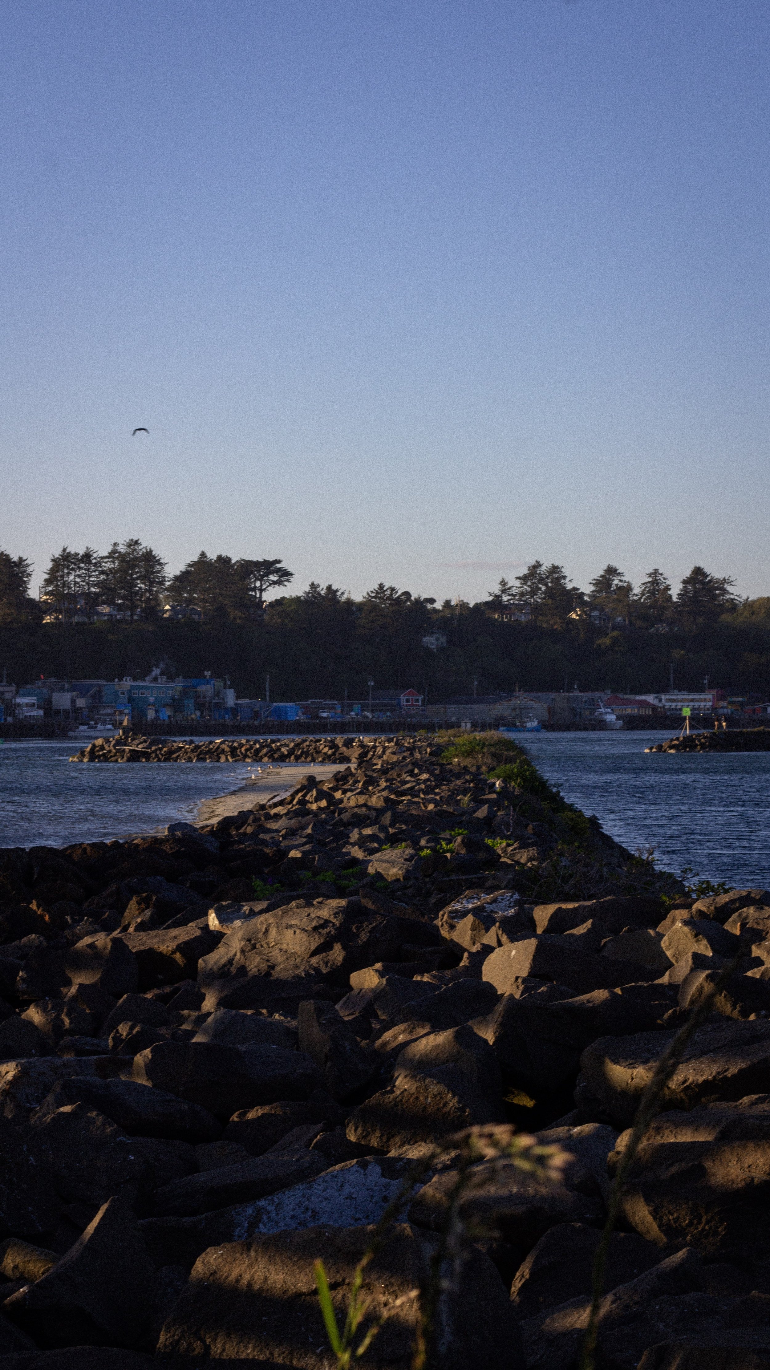A rocky jetty extending into a body of water with a distant shoreline lined with trees and buildings. A bird is flying in the clear blue sky.
