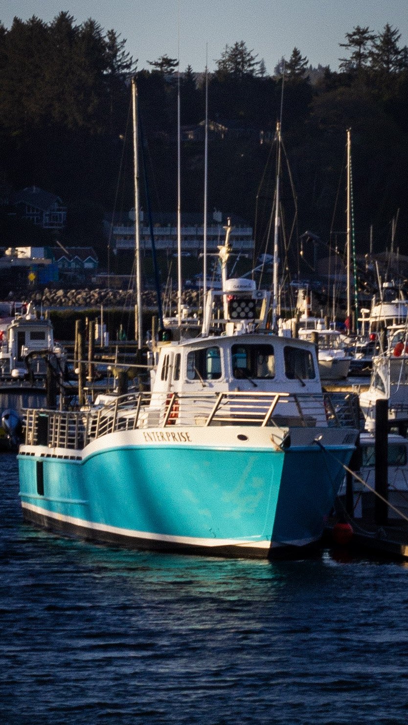 A bright turquoise boat named 'Enterprise' docked at a marina with other boats and a hillside with trees in the background.