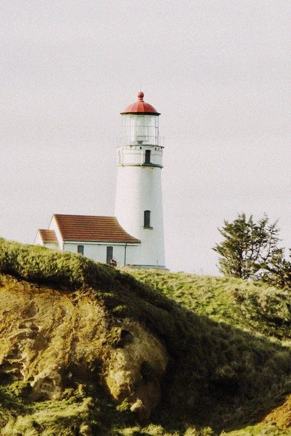 A white lighthouse with a red roof on a grassy cliff, with a tree nearby, under a clear sky.