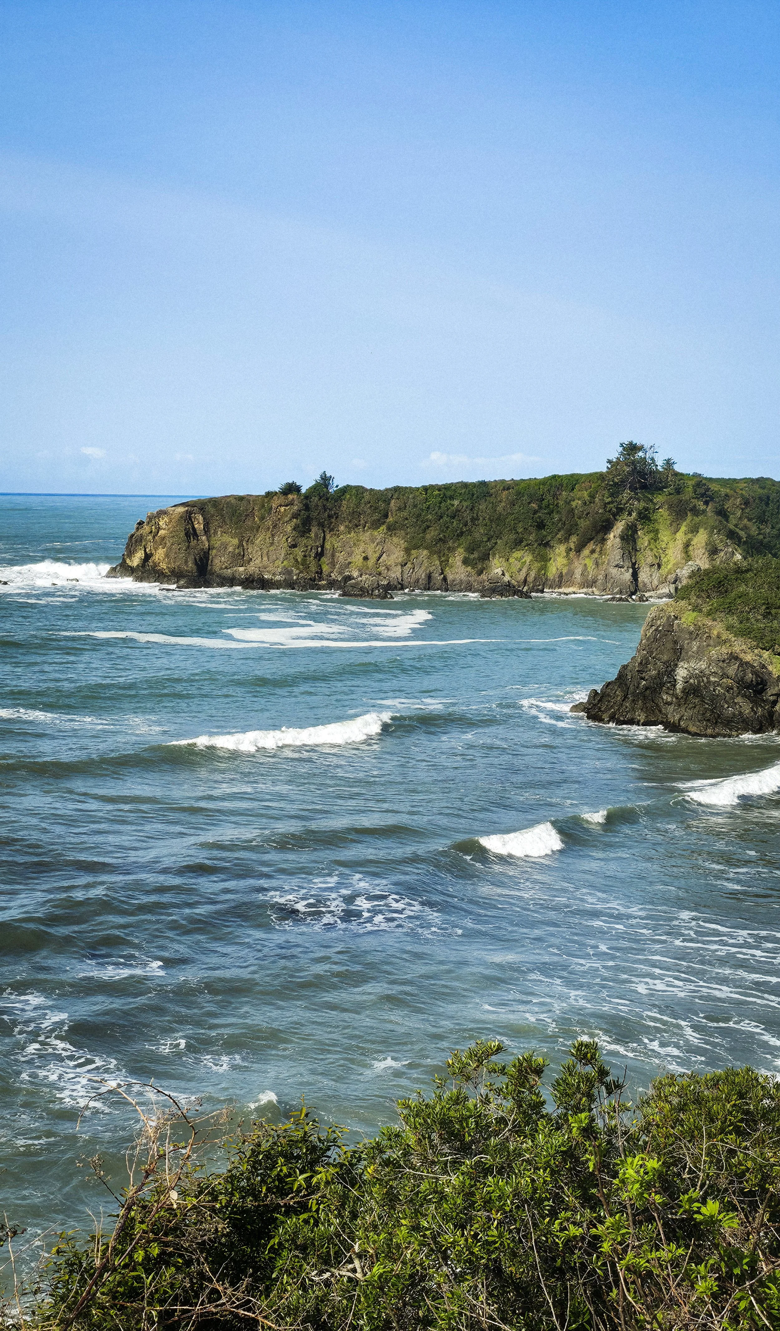 Coastal scene with rocky cliffs covered in greenery, ocean waves crashing against rocks, and a clear blue sky.