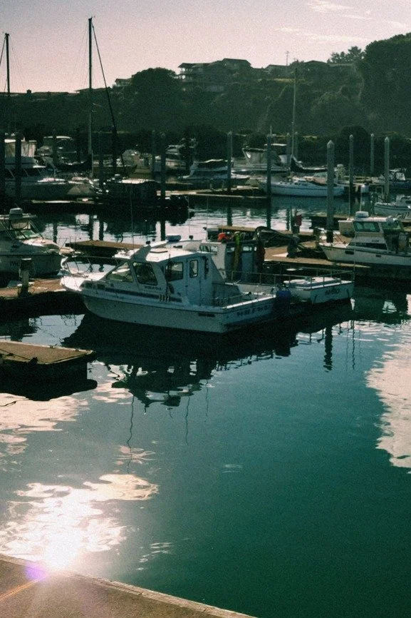 A marina with several boats docked, including a white boat in the foreground and multiple sailboats and motorboats in the background; calm water reflecting the sky and boats.