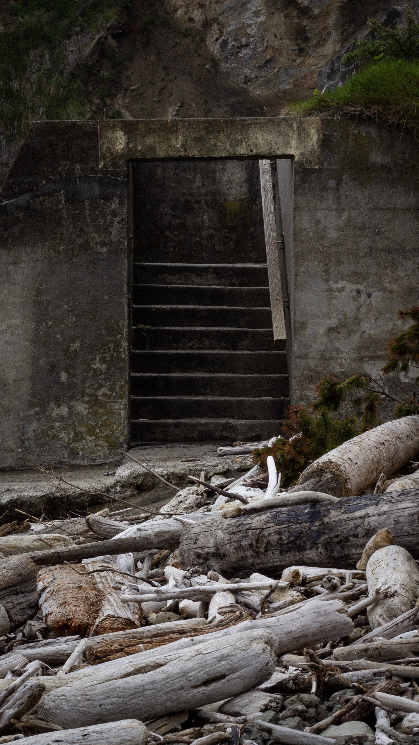 Concrete stairs and tunnel entrance surrounded by driftwood and rocks.