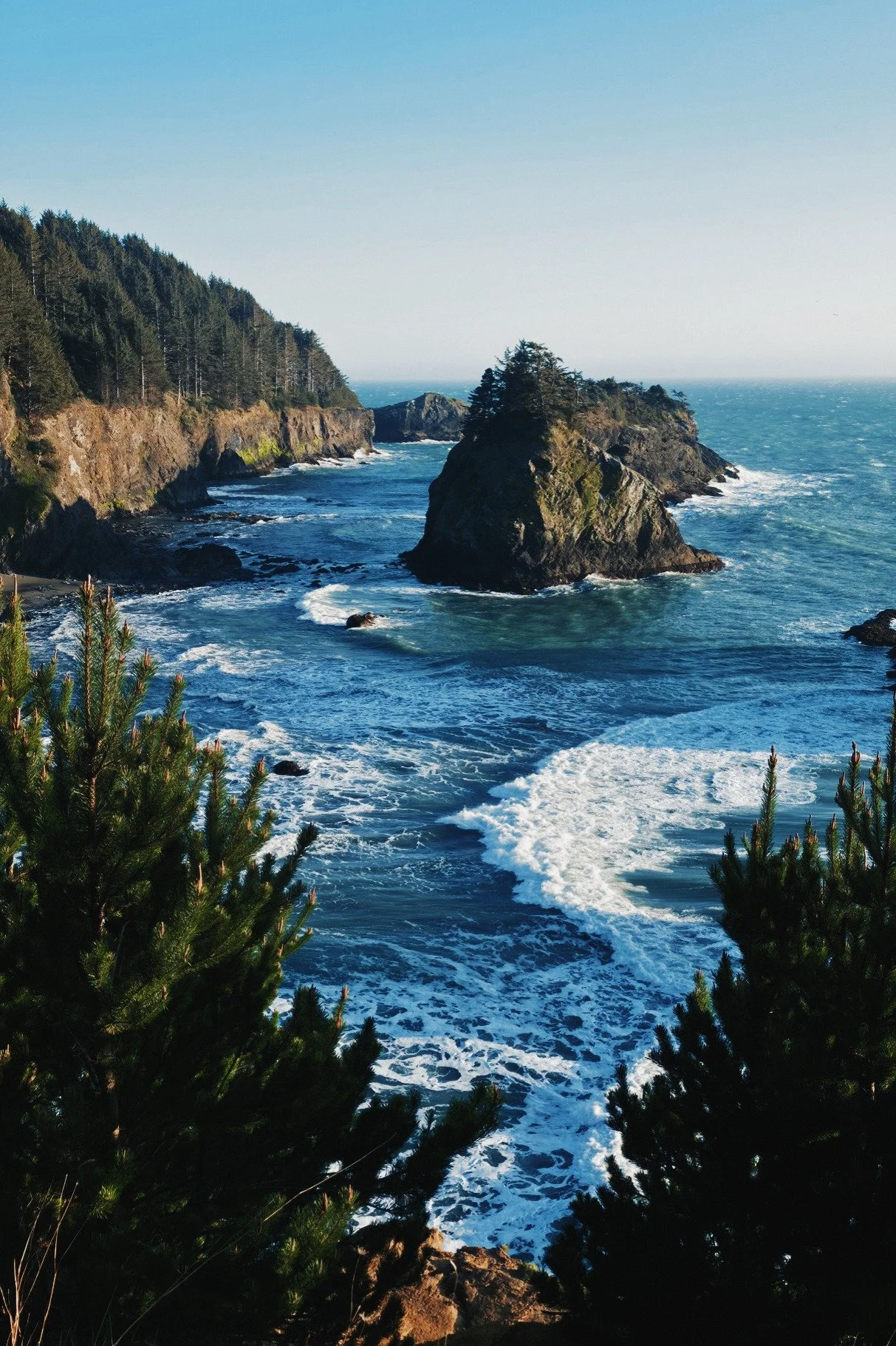 Coastal scene featuring a rocky shoreline with large rocks and waves crashing, surrounded by greenery and forested cliffs under a clear blue sky.