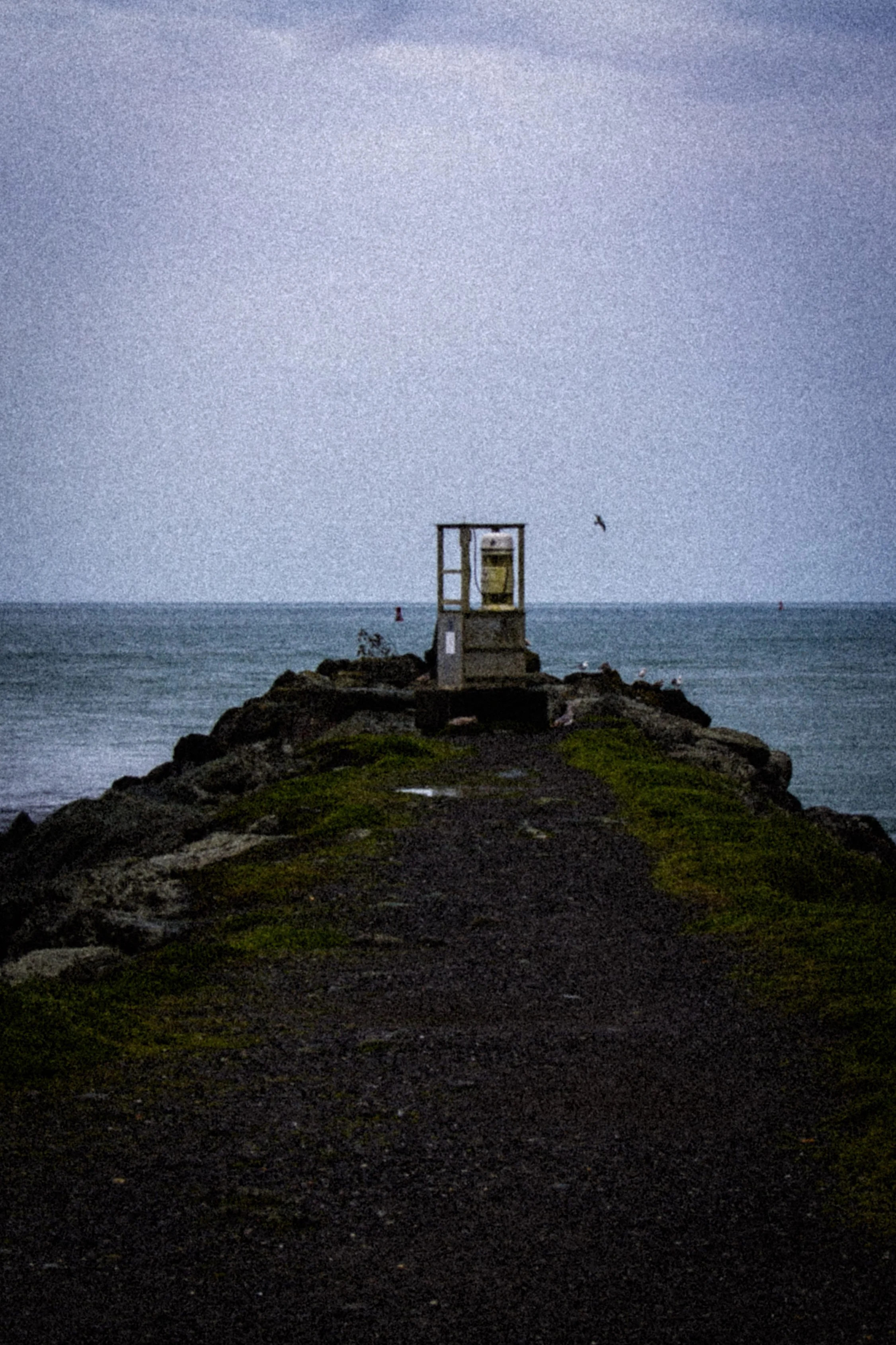 A small lighthouse on a rocky, grassy coastline with birds flying in the sky and the ocean in the background.