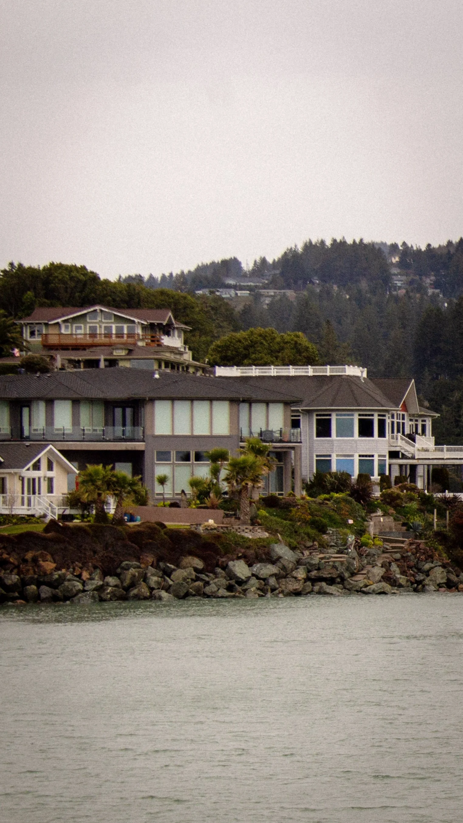 Houses along a shoreline with trees on a hill in the background and water in the foreground.
