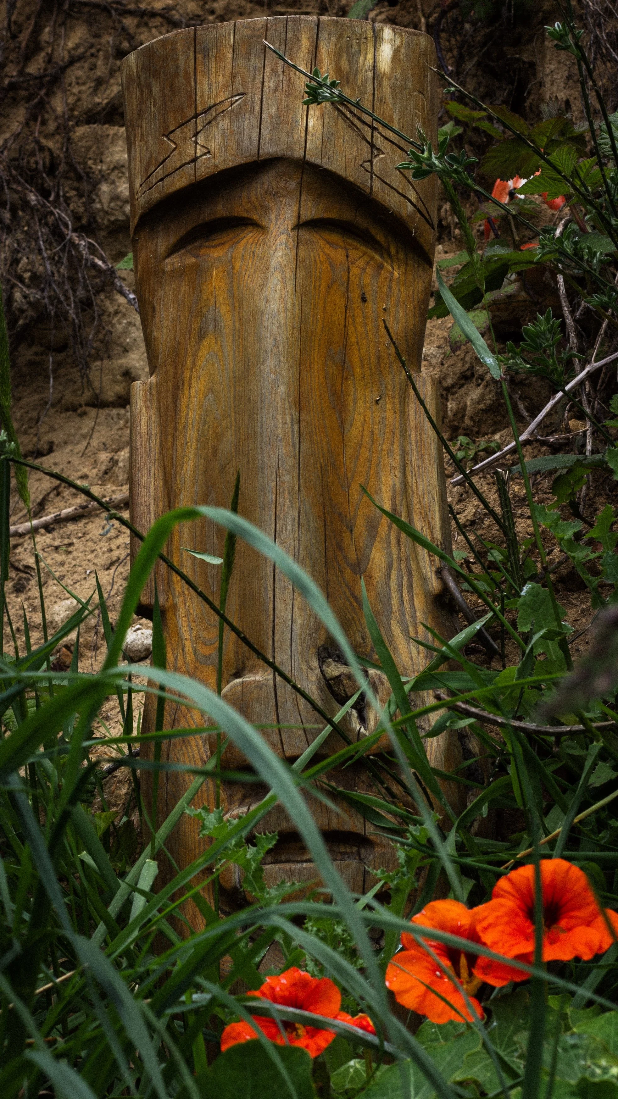 Close-up of a wooden Tiki statue with carved eyebrows and a long nose, surrounded by green plants and orange flowers with black centers.