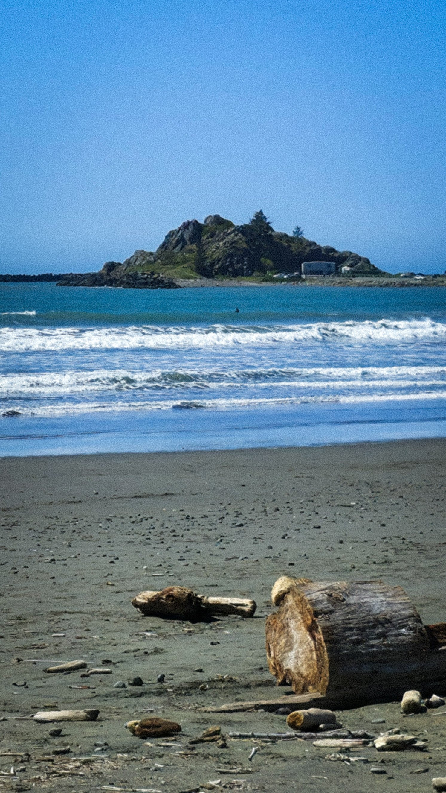 Beach scene with driftwood on sandy shore, ocean waves, and an island with rocky cliffs and trees in the background under a clear blue sky.