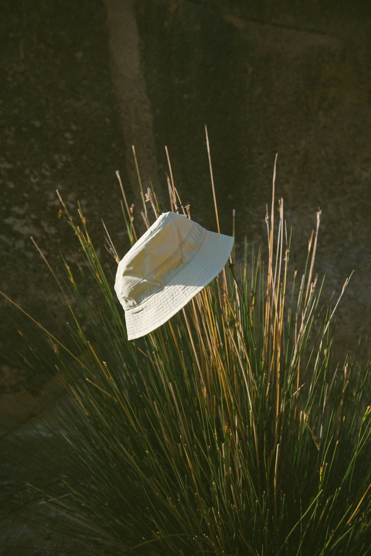 A beige bucket hat hanging on tall, thin grass stalks at night with a dark background.