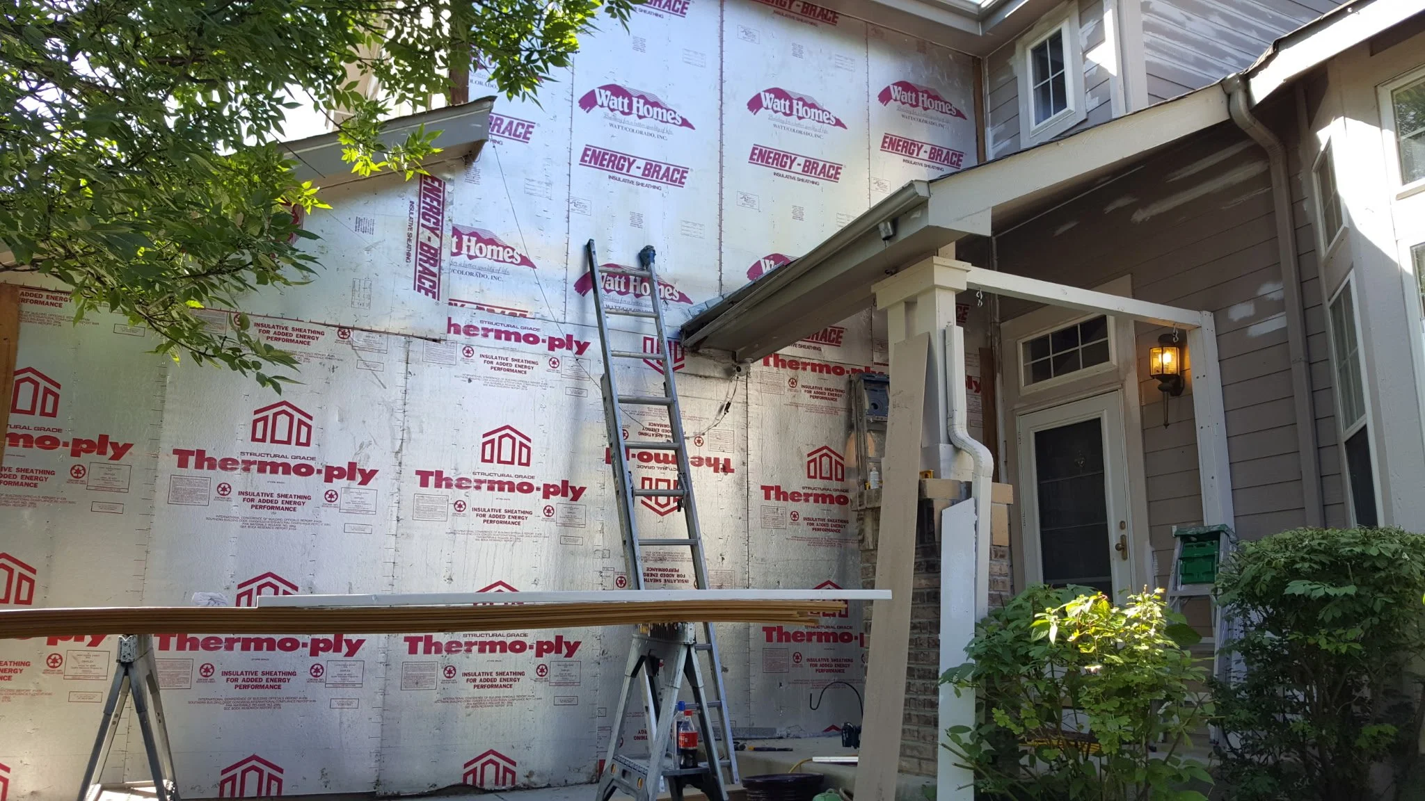 Exterior of a house under renovation, with insulation and sheathing visible on the wall, a ladder leaning against it, and some trees and plants in the foreground.