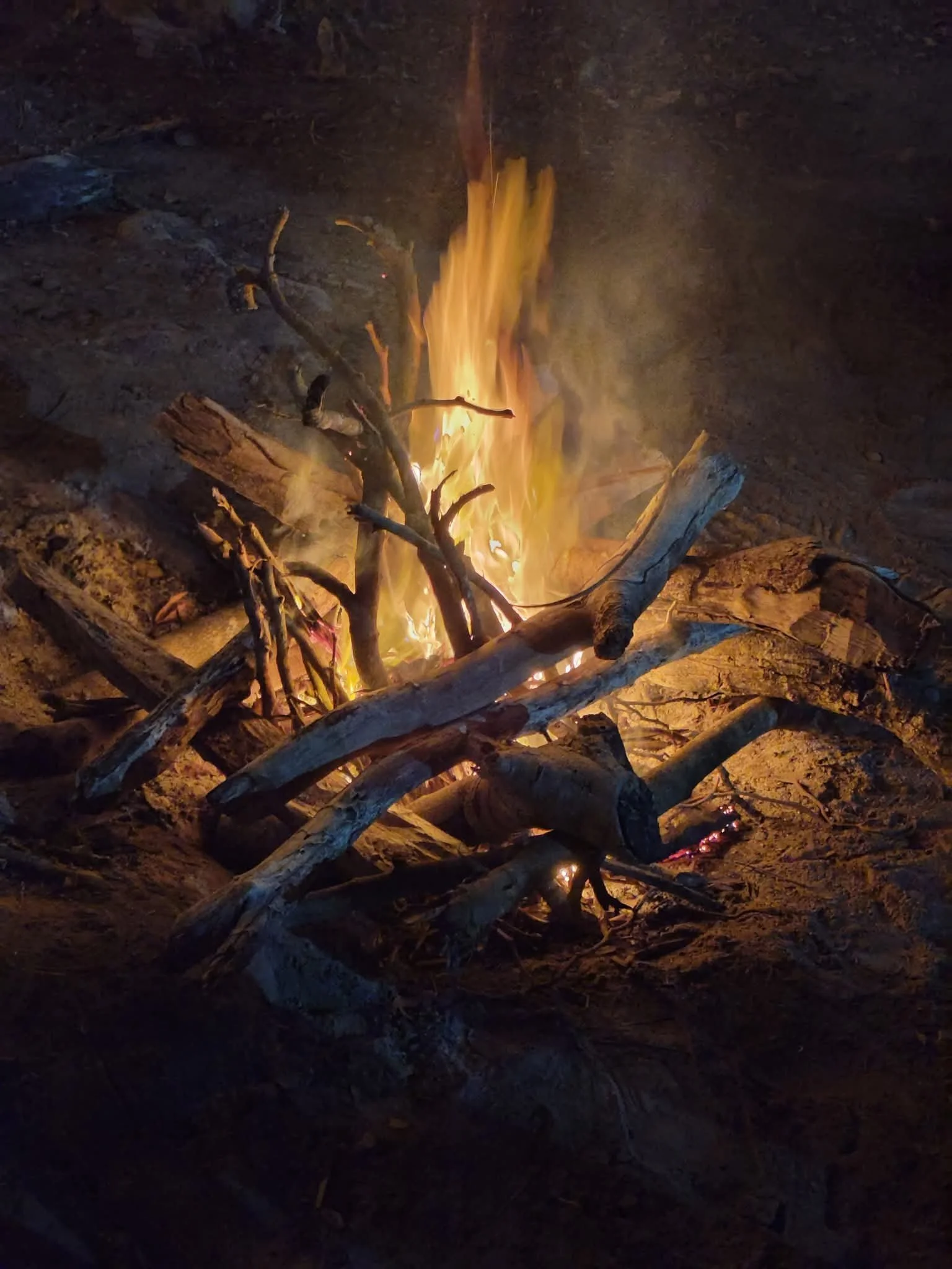 una fogata encendida con madera y ramas apiladas en un entorno oscuro