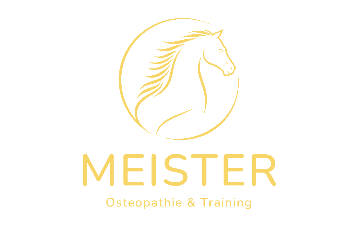 Meister Osteopathie &amp; Training