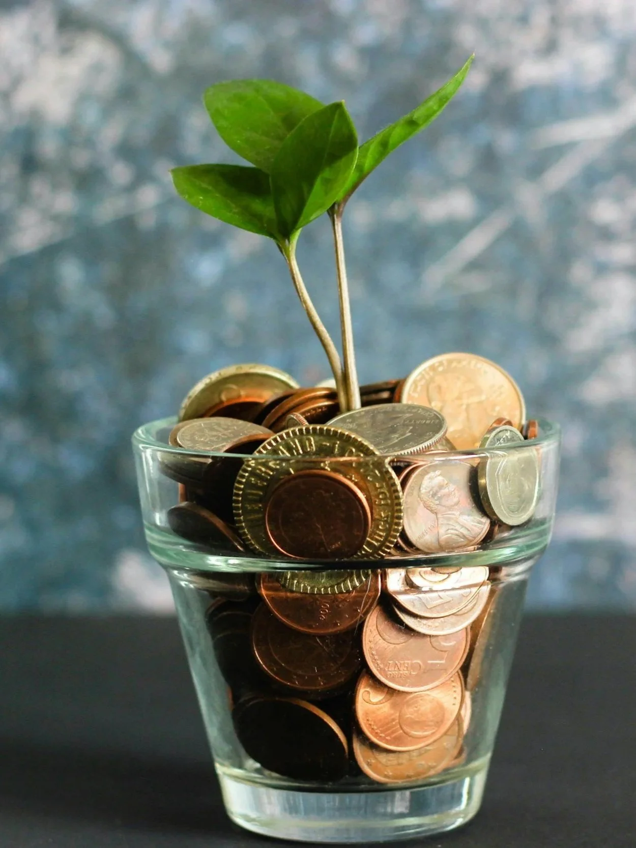 A glass filled with coins, with a small green plant growing from the coins.