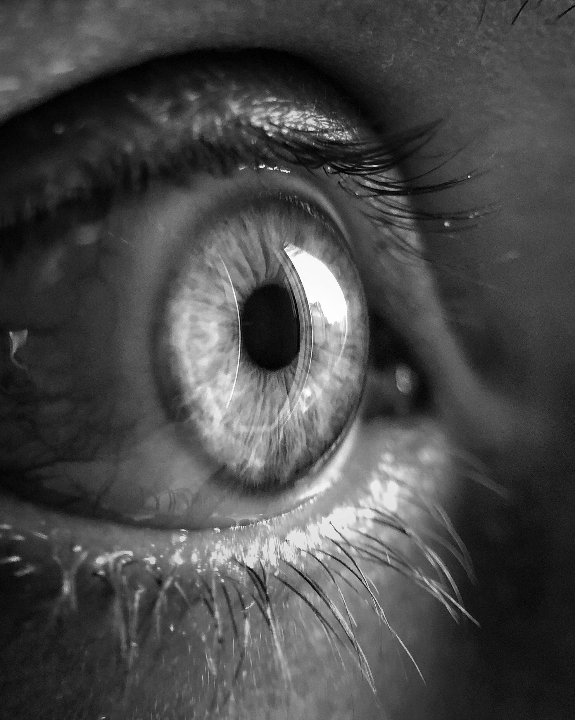 Close-up of a human eye showing the iris, pupil, eyelashes, and surrounding eyelid in black and white.