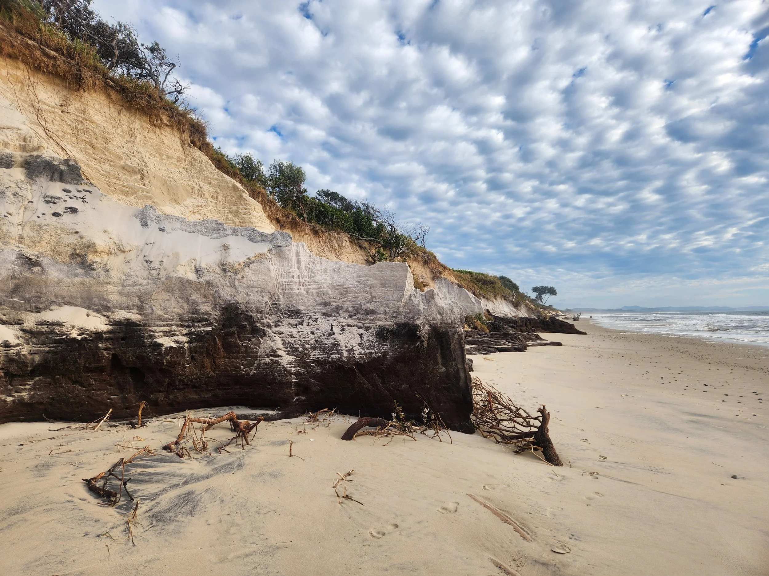 A beach scene with sandy shore, driftwood, and large white cliffs with patches of brush and trees at the top. The sky is partly cloudy.