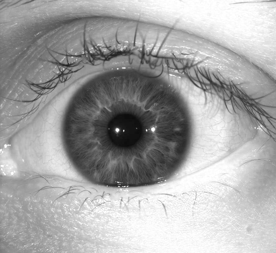 Close-up view of a human eye showing detailed iris, sclera, and eyelashes in black and white.