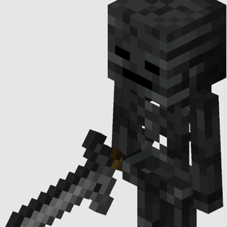 Wither Skeleton…