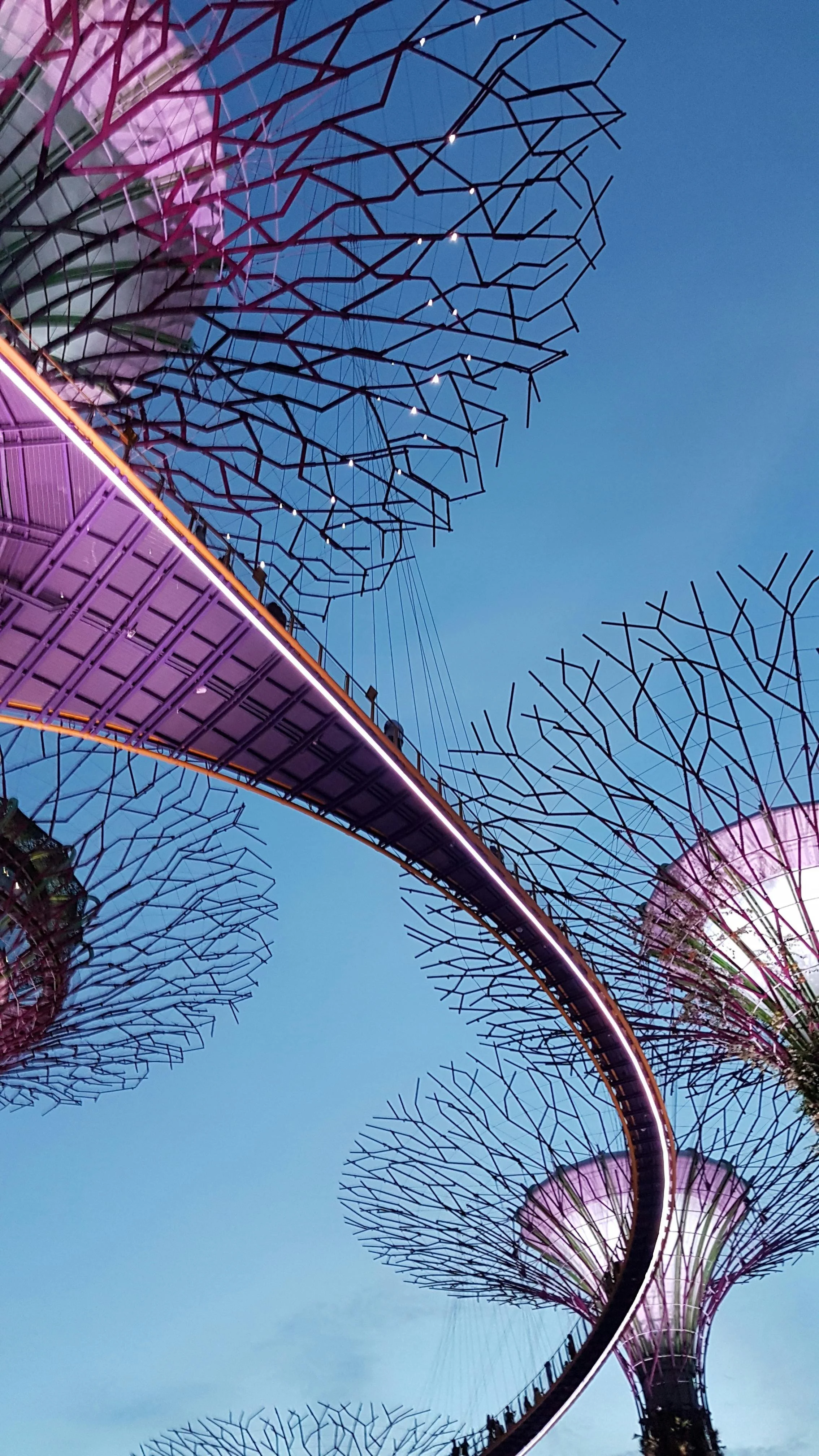 Singapore’s FATF Review: The Growing Pressure on AML, Sanctions and PF Controls