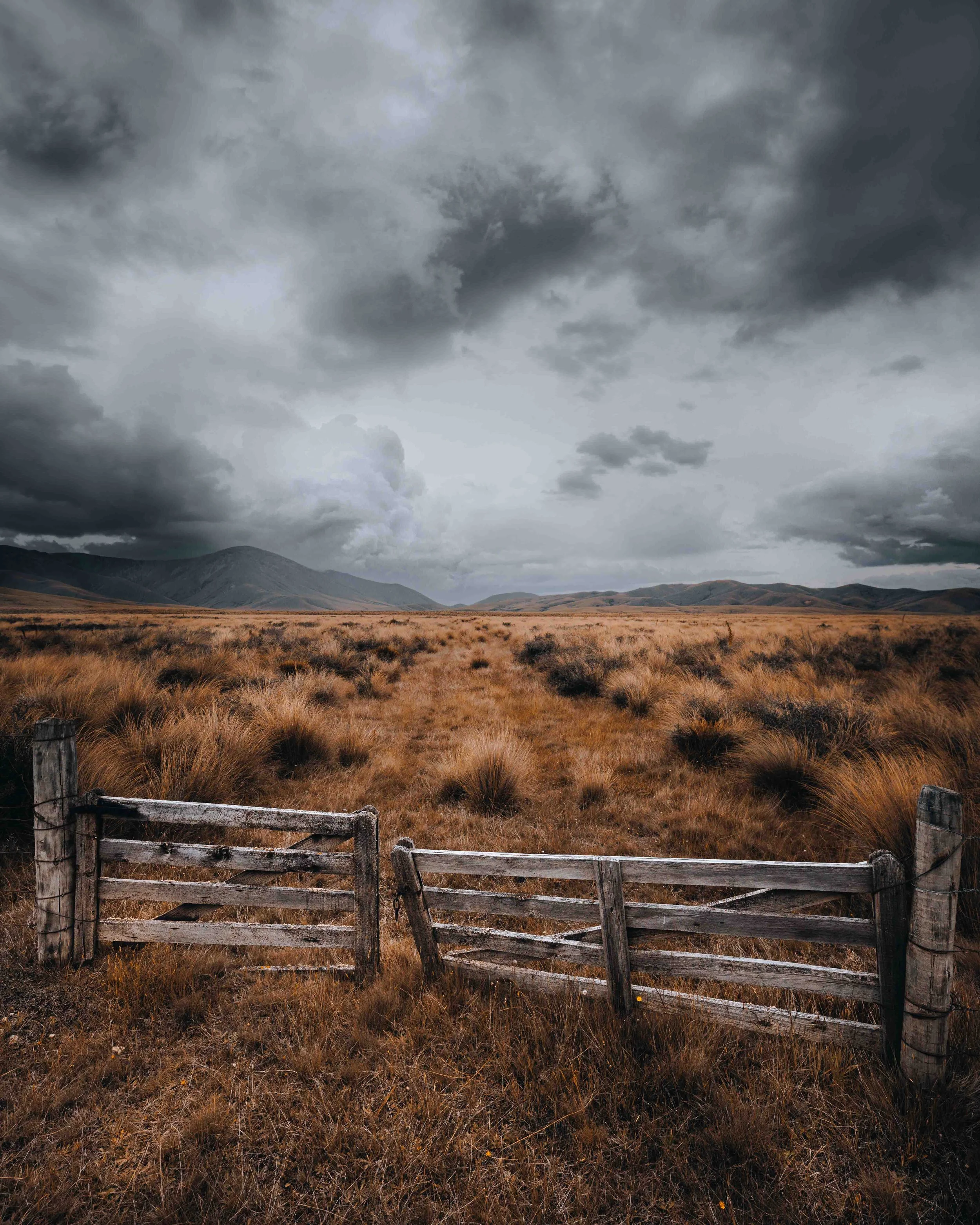 Maniototo Tussocks and Thunder